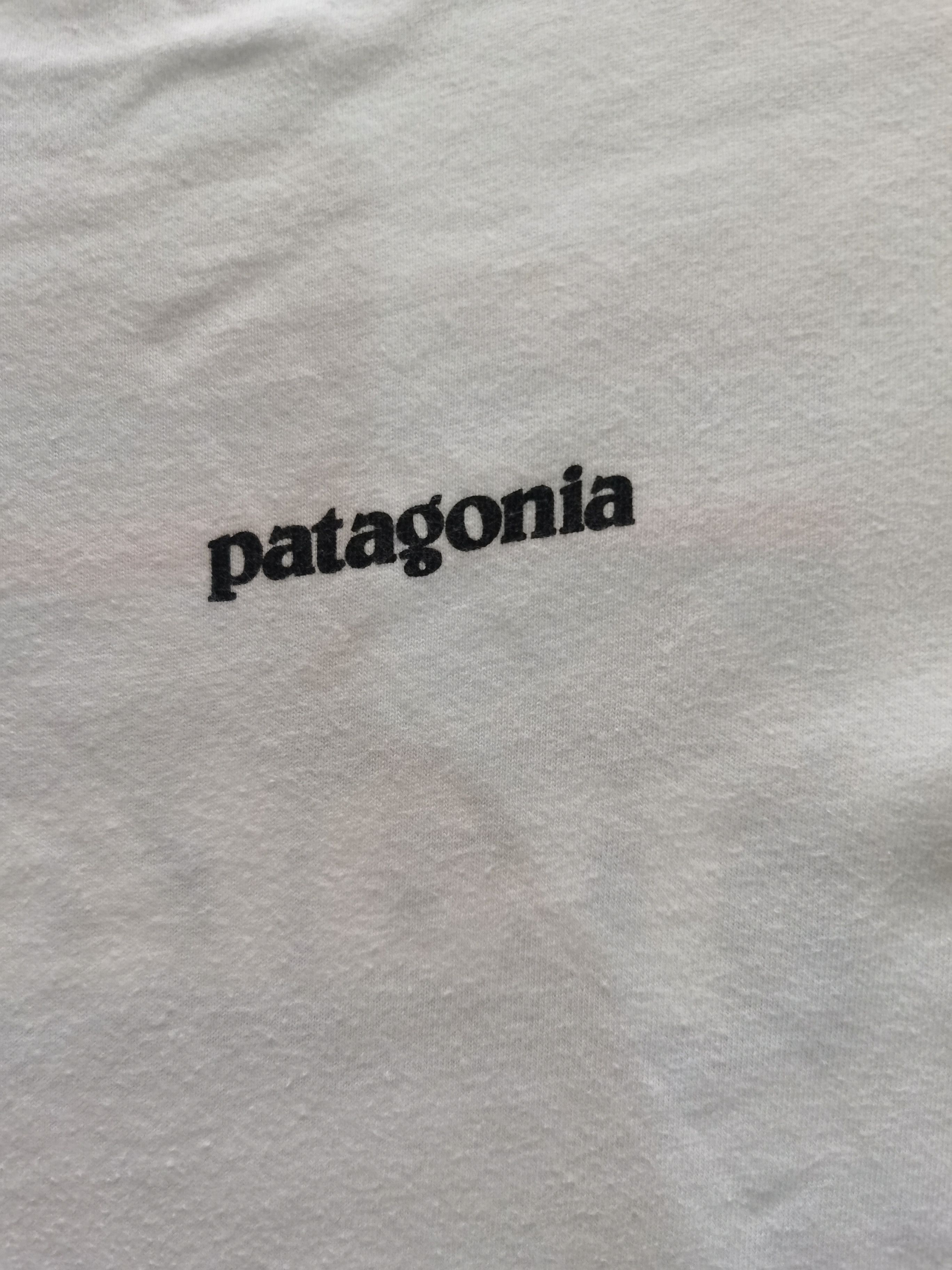 Patagonia Patagonia Big Logo Back Print Tee Size US M / EU 48-50 / 2 - 3 Thumbnail