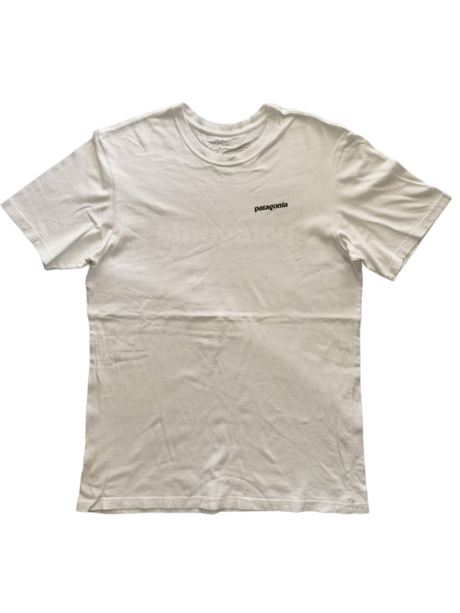 Patagonia Patagonia Big Logo Back Print Tee Size US M / EU 48-50 / 2 - 2 Thumbnail