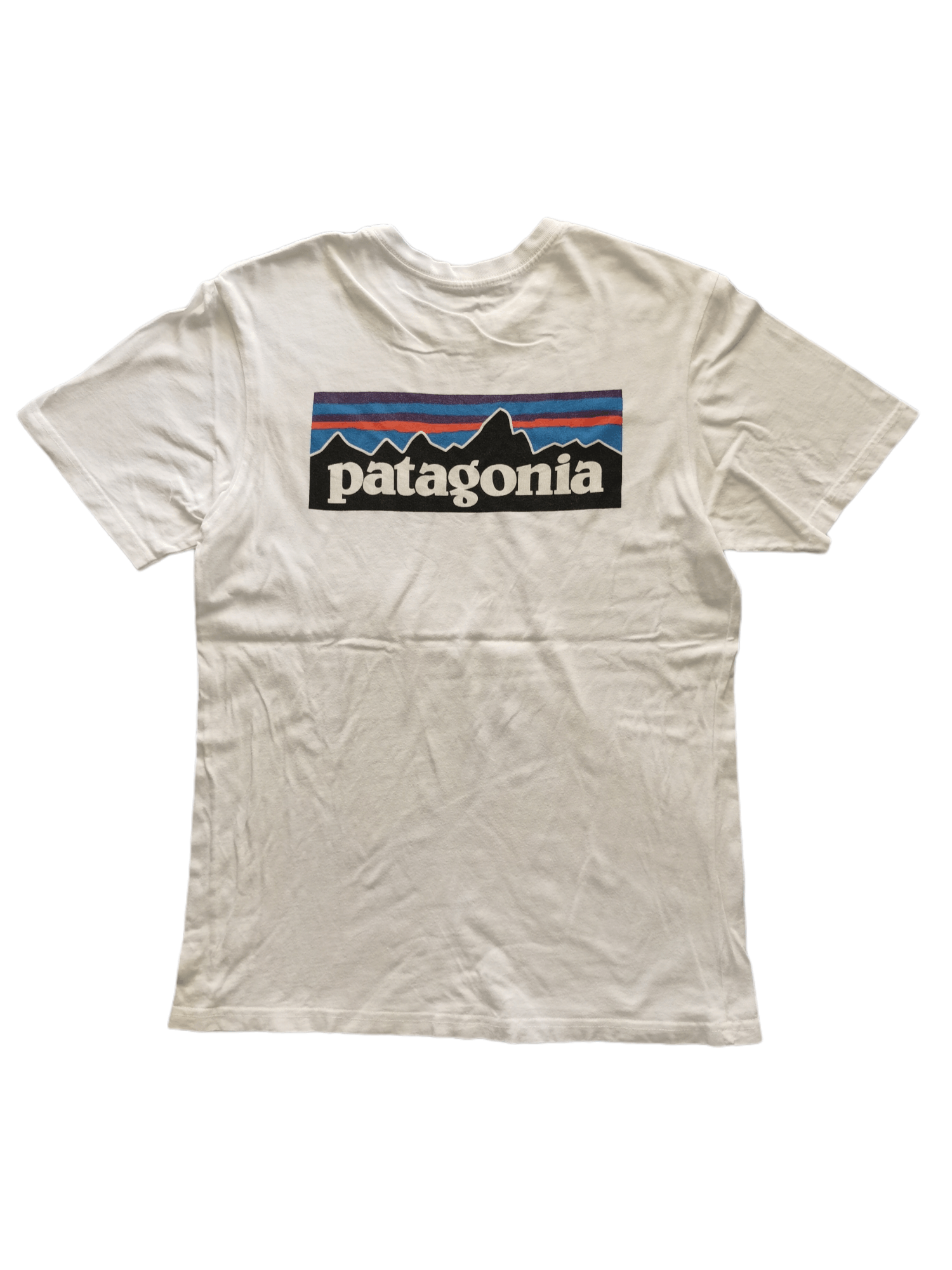 Patagonia Patagonia Big Logo Back Print Tee Size US M / EU 48-50 / 2 - 1 Thumbnail