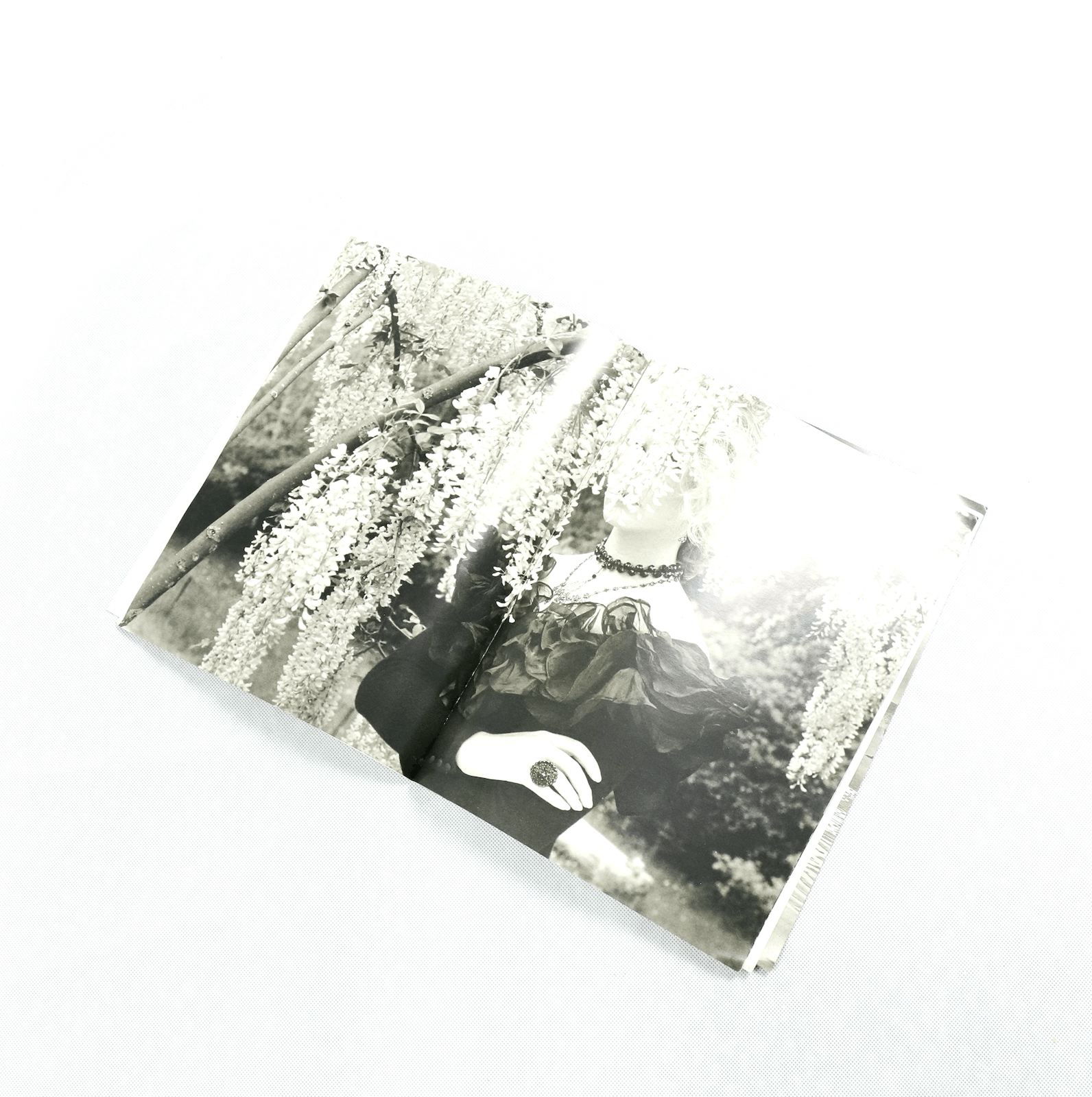 Blumarine Bluemarine Photograph Magazine Size ONE SIZE - 4 Thumbnail