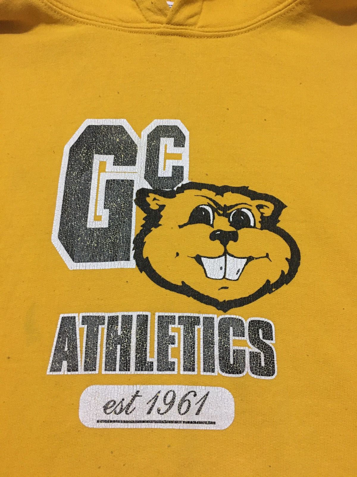 Vintage Vintage Garden City Athletics Hoodie Size US M / EU 48-50 / 2 - 2 Thumbnail