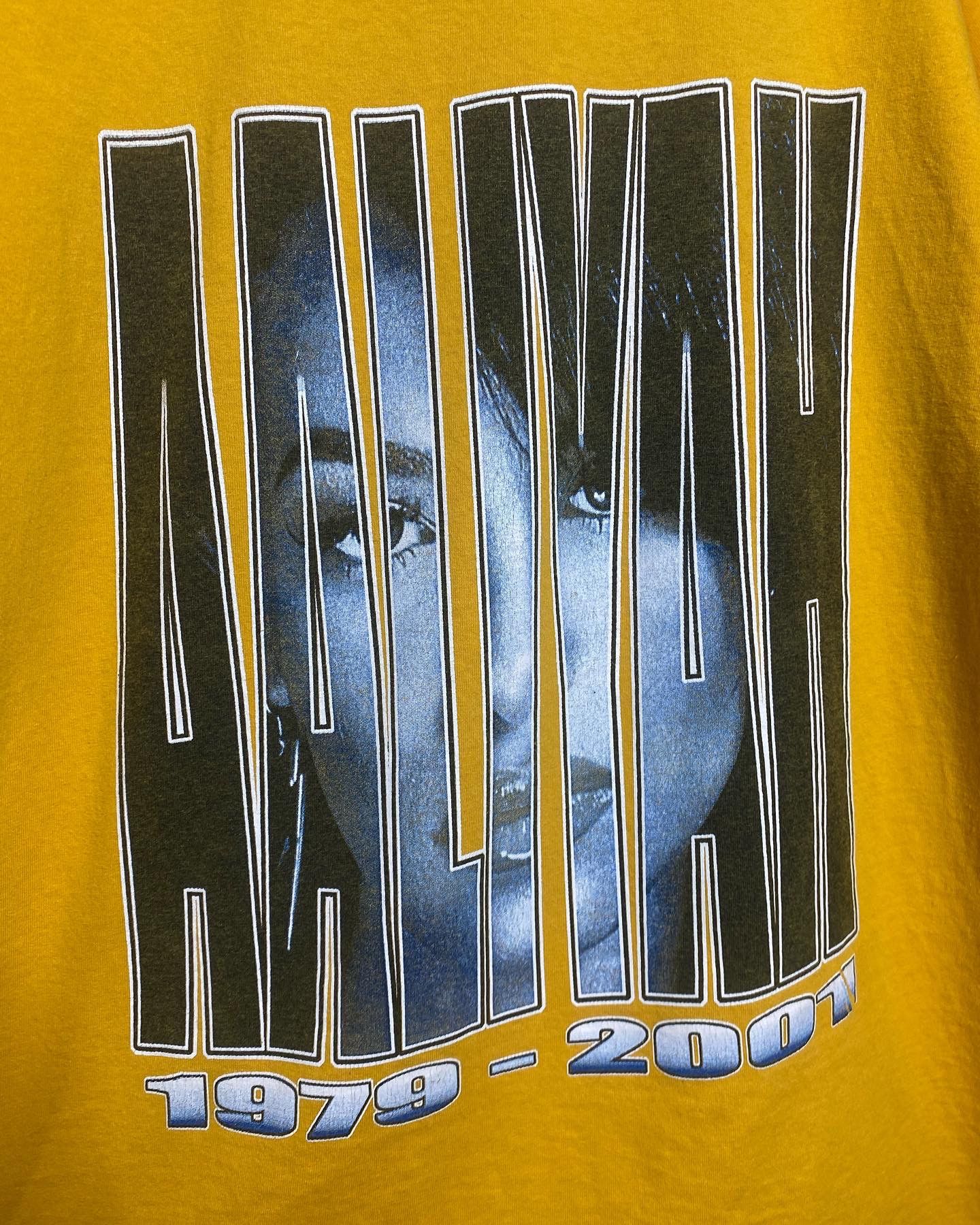 Rap Tees × Vintage 🚨Vintage Aaliyah Memorial 2002 Rap Tee T-Shirt Size US XL / EU 56 / 4 - 6 Thumbnail