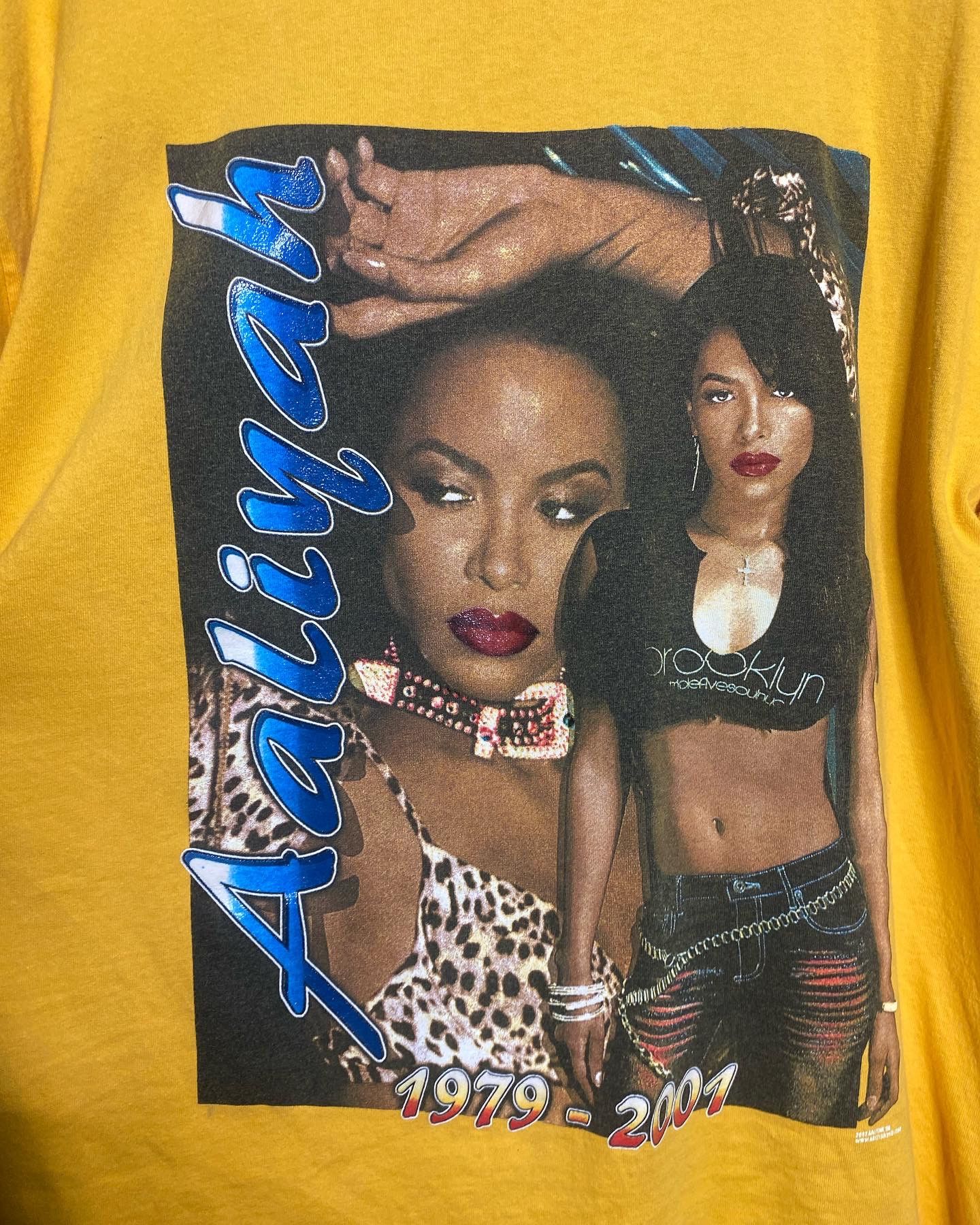 Rap Tees × Vintage 🚨Vintage Aaliyah Memorial 2002 Rap Tee T-Shirt Size US XL / EU 56 / 4 - 5 Thumbnail