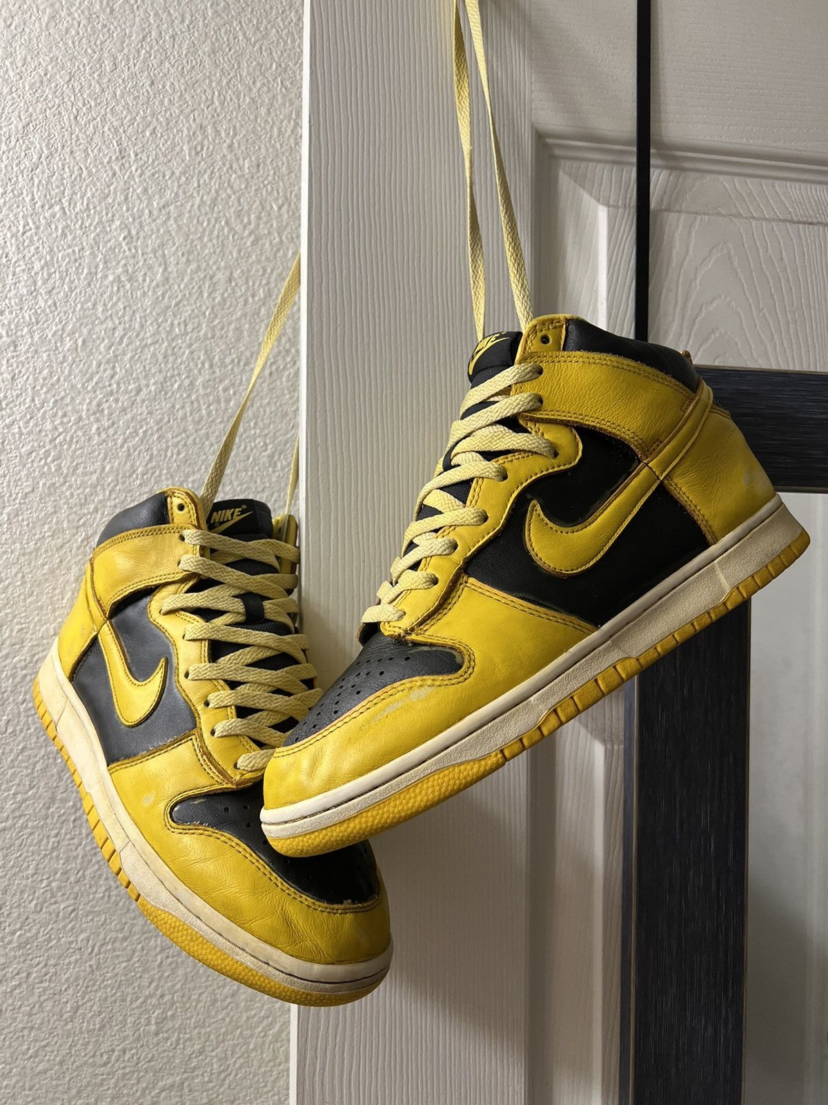 nike dunk iowa
