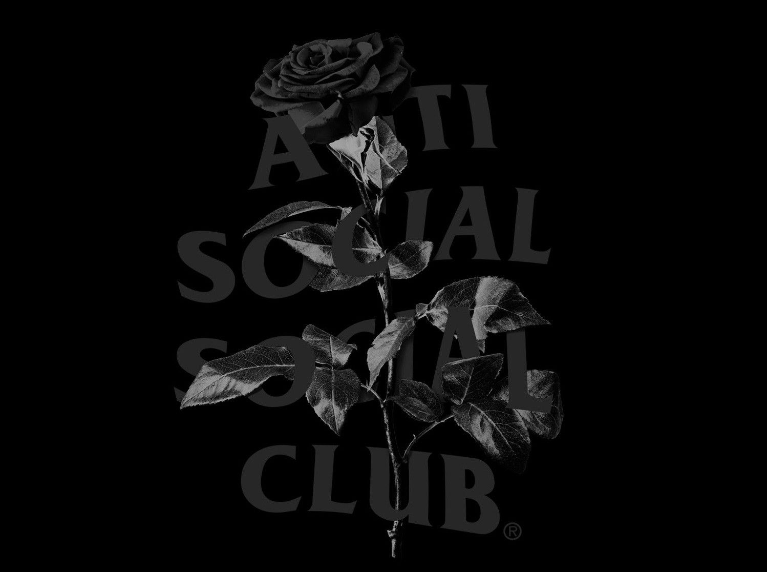 Anti Social Social Club × Members Only DS weekly exclusive ASSC Hell O Rose Black Hoodie Bape Kith Size US L / EU 52-54 / 3 - 3 Thumbnail