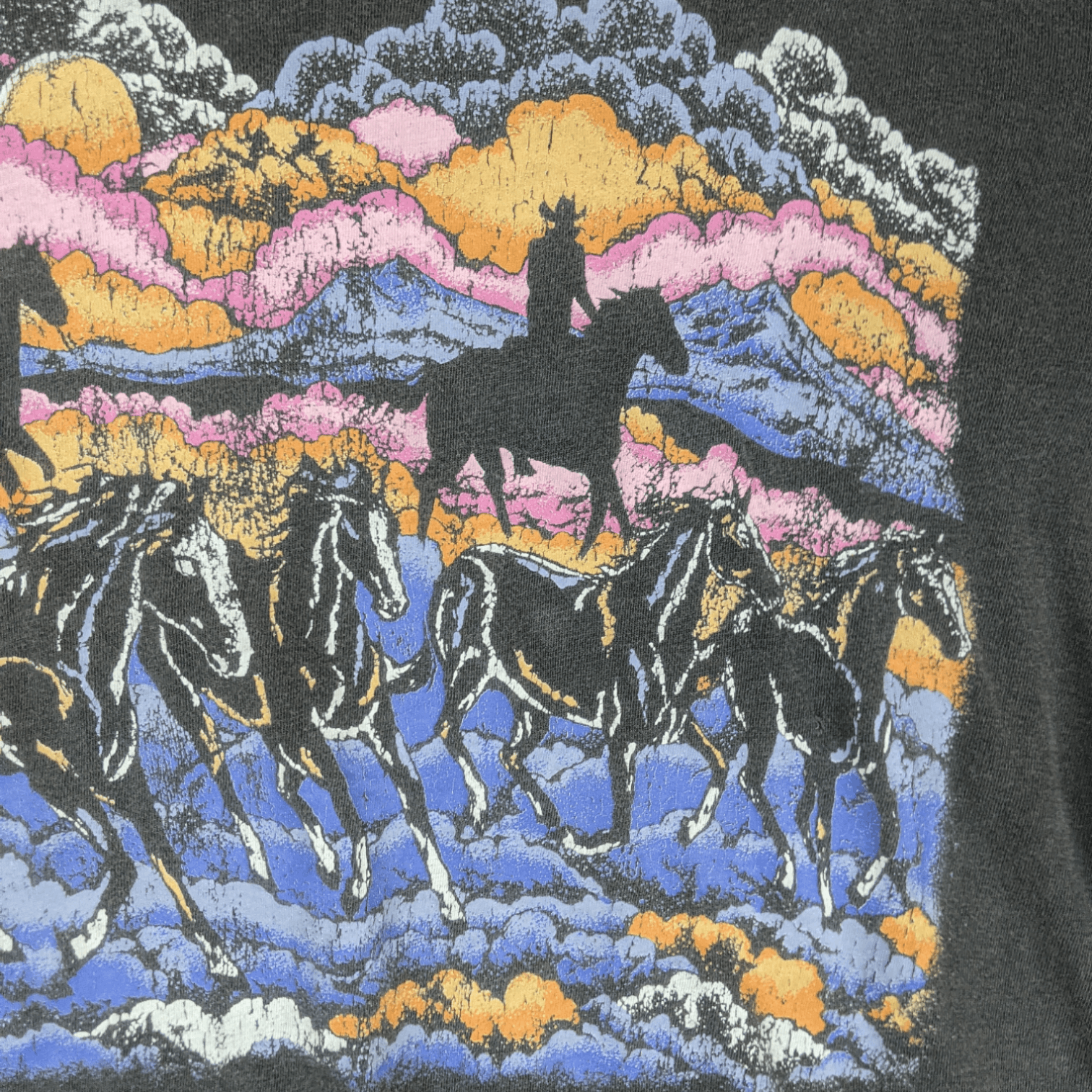 American Apparel Vintage 2000's AMERICAN HIGHWAY Horse Animal Graphic Tee Size US M / EU 48-50 / 2 - 5 Thumbnail