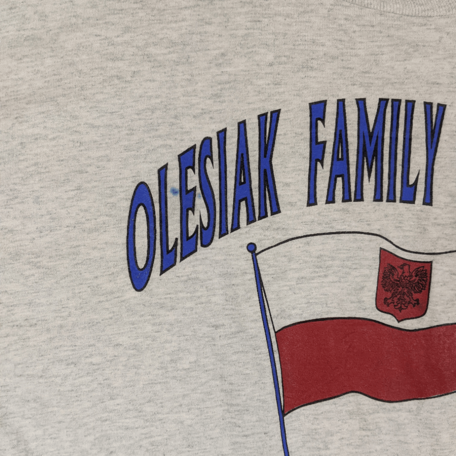 Fruit Of The Loom 1995 OLESIAK FAMILY REUNION Poland T-Shirt Single Stitches Size US XL / EU 56 / 4 - 8 Thumbnail