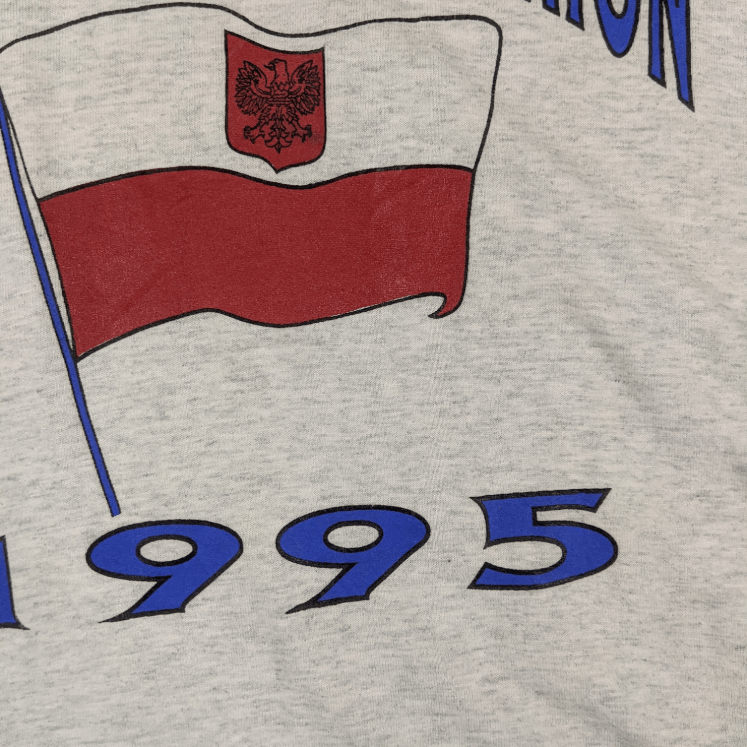 Fruit Of The Loom 1995 OLESIAK FAMILY REUNION Poland T-Shirt Single Stitches Size US XL / EU 56 / 4 - 5 Thumbnail