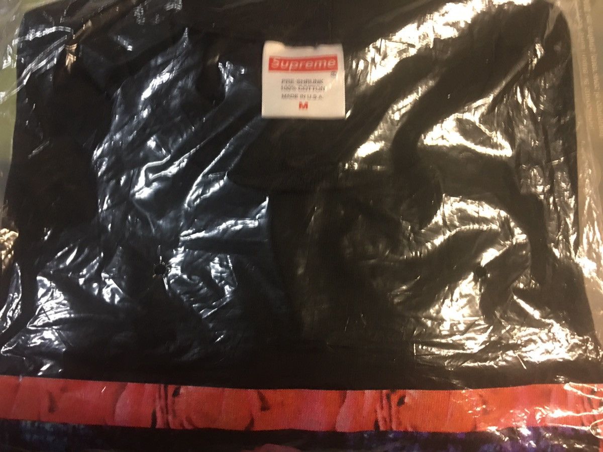 Supreme × Vintage Supreme bloom long sleeve tee box motion logo FW17 Size US M / EU 48-50 / 2 - 1 Thumbnail