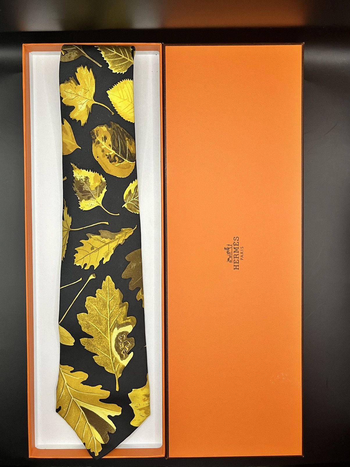 Hermes Hand Painted Hermes Tie Size ONE SIZE - 1 Thumbnail