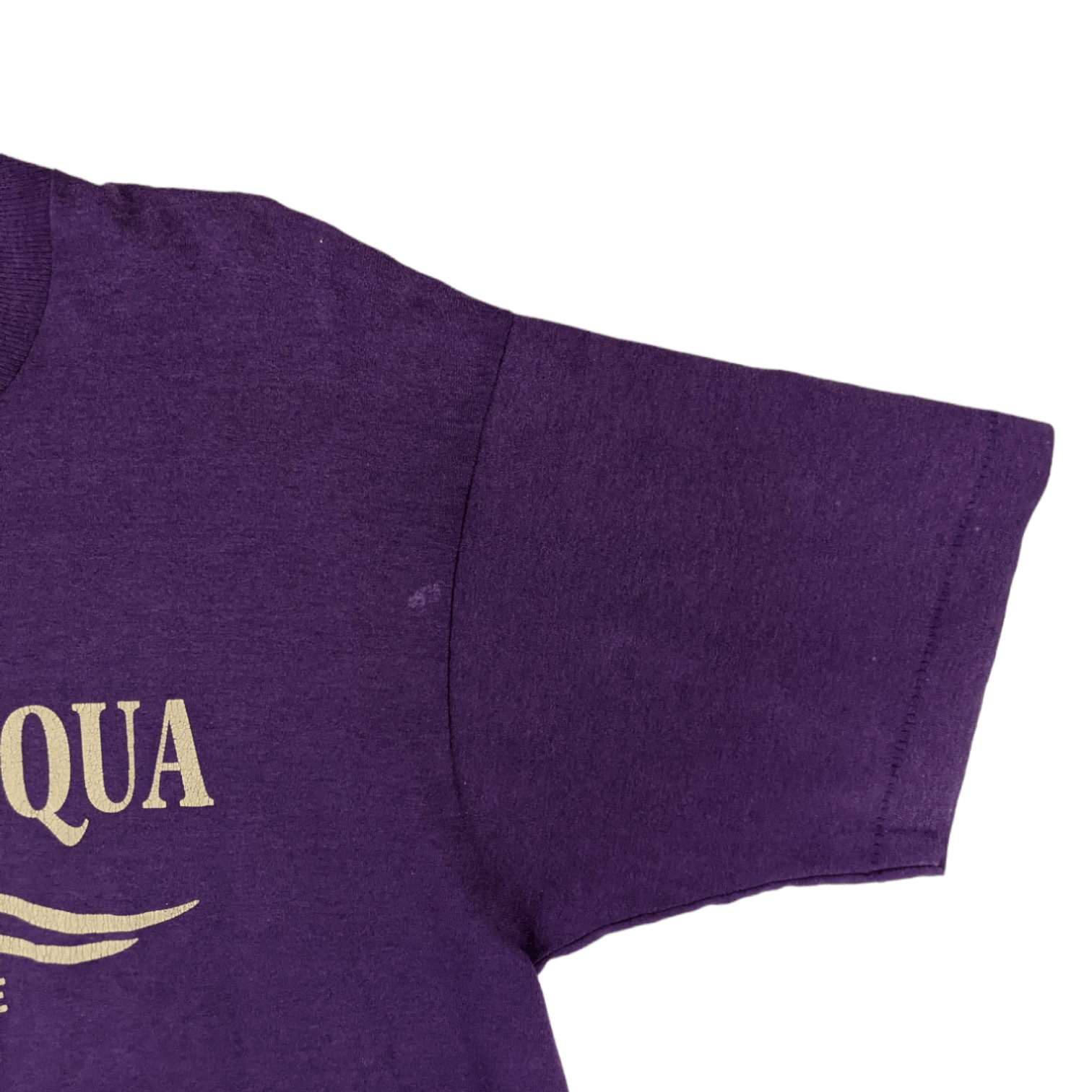 Fruit Of The Loom Vintage 80's CHAUTAUQUA Lake Graphic T-Shirt Single Stitches Size US L / EU 52-54 / 3 - 8 Thumbnail