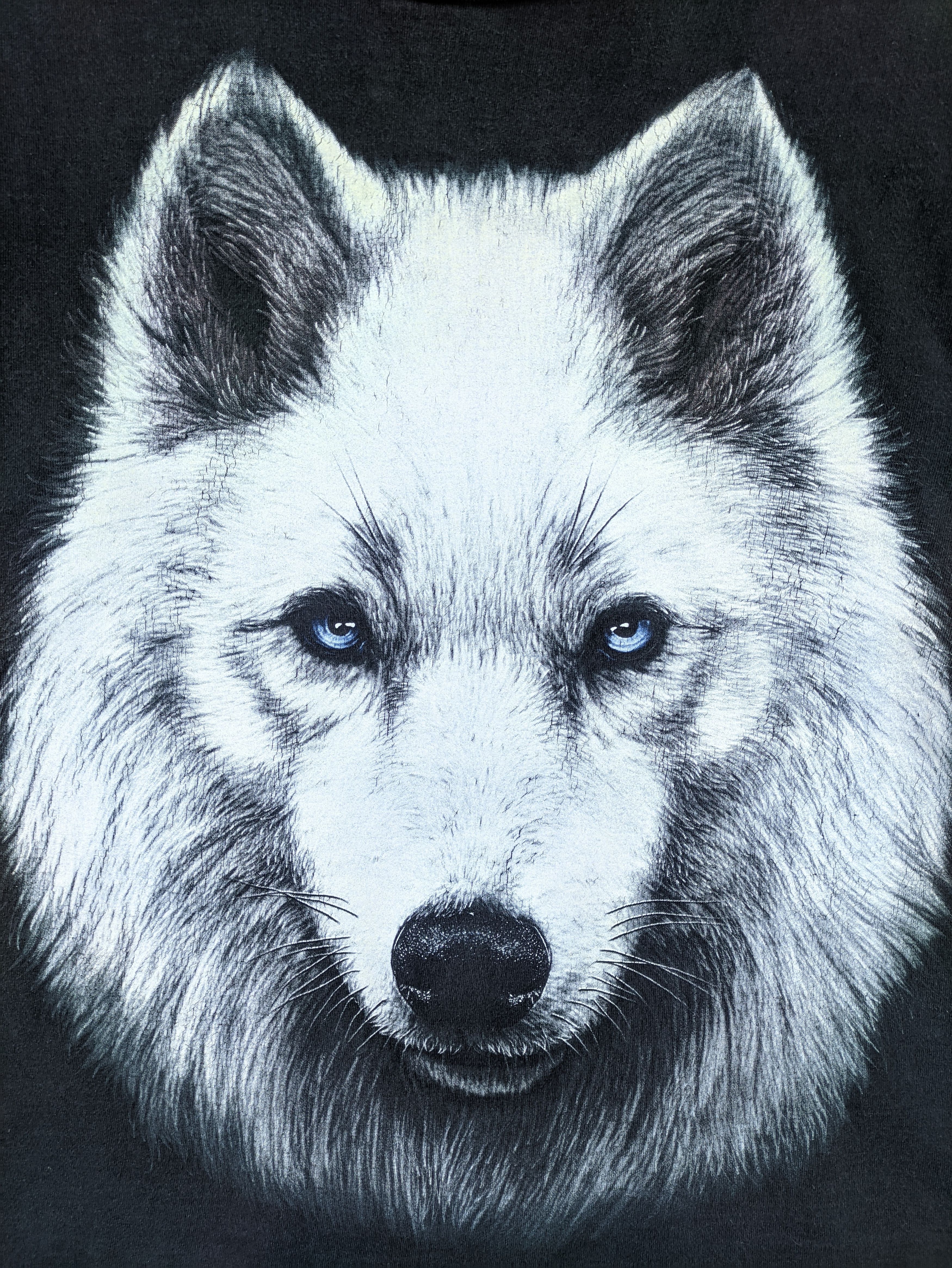 Other Steals🔥Animal Wolf T Shirt Cropped Tee(Combo Tee PM) Size M / US 6-8 / IT 42-44 - 2 Thumbnail