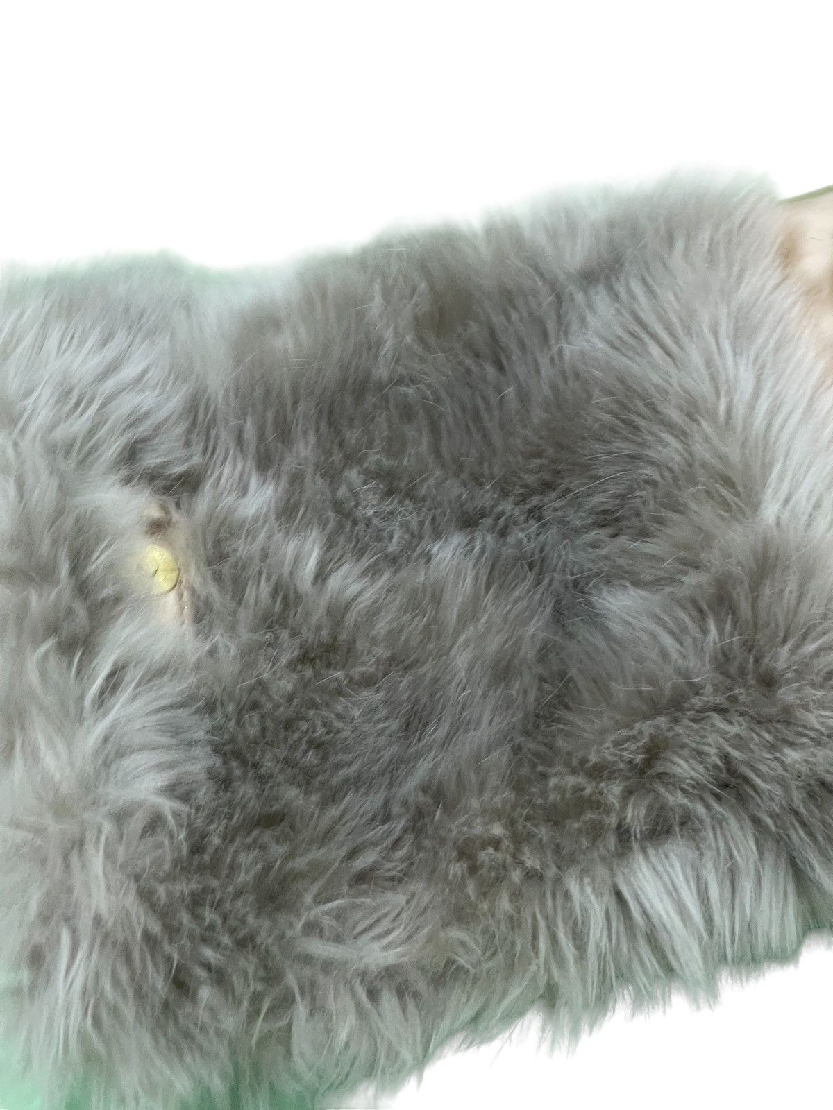 Japanese Brand Tsumori Chisato Unusual Fur Hand Bag Size ONE SIZE - 11 Thumbnail