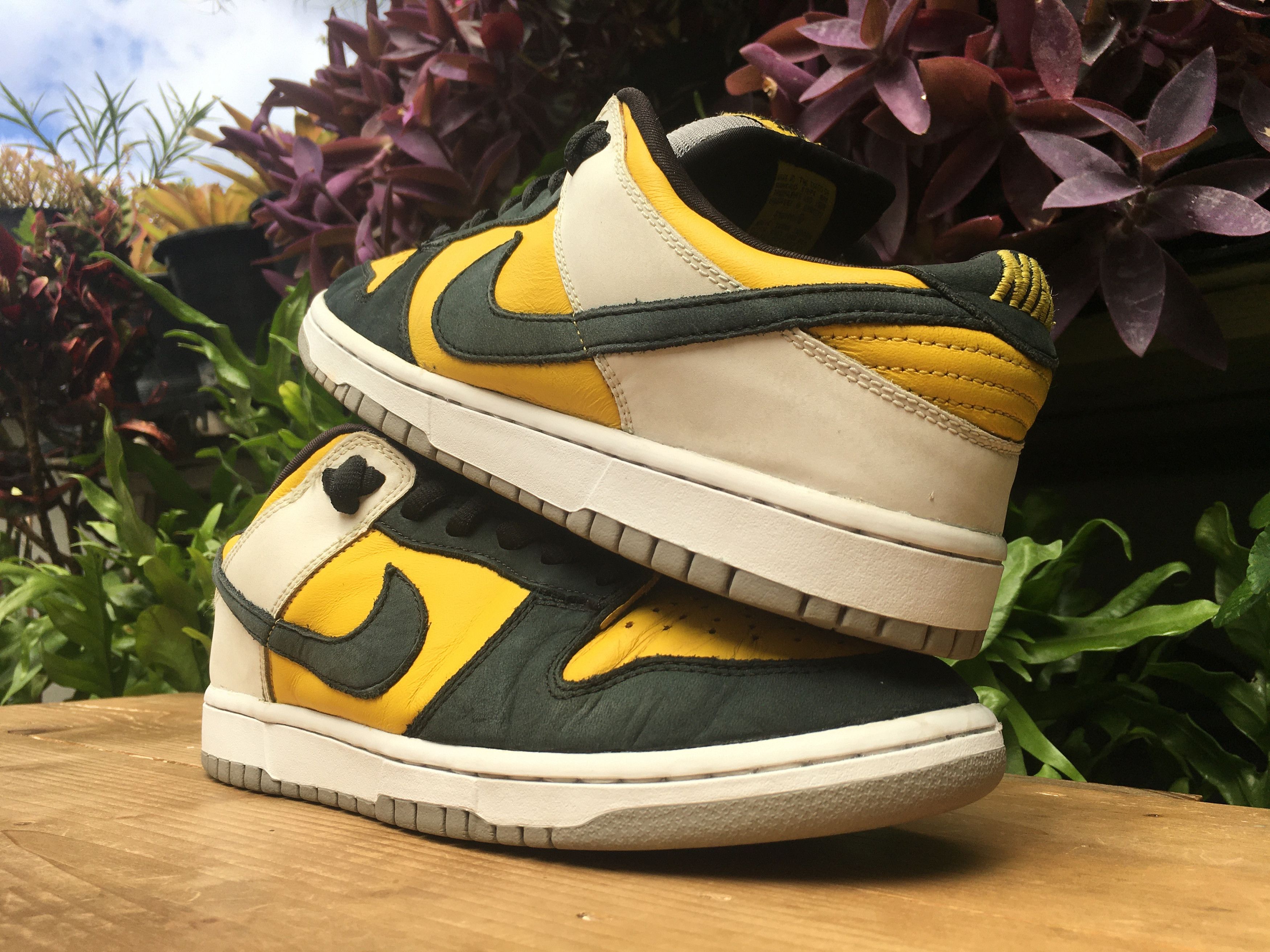 Nike 🔥 Rare Nike SB Dunk Low Bic 2006 | Grailed