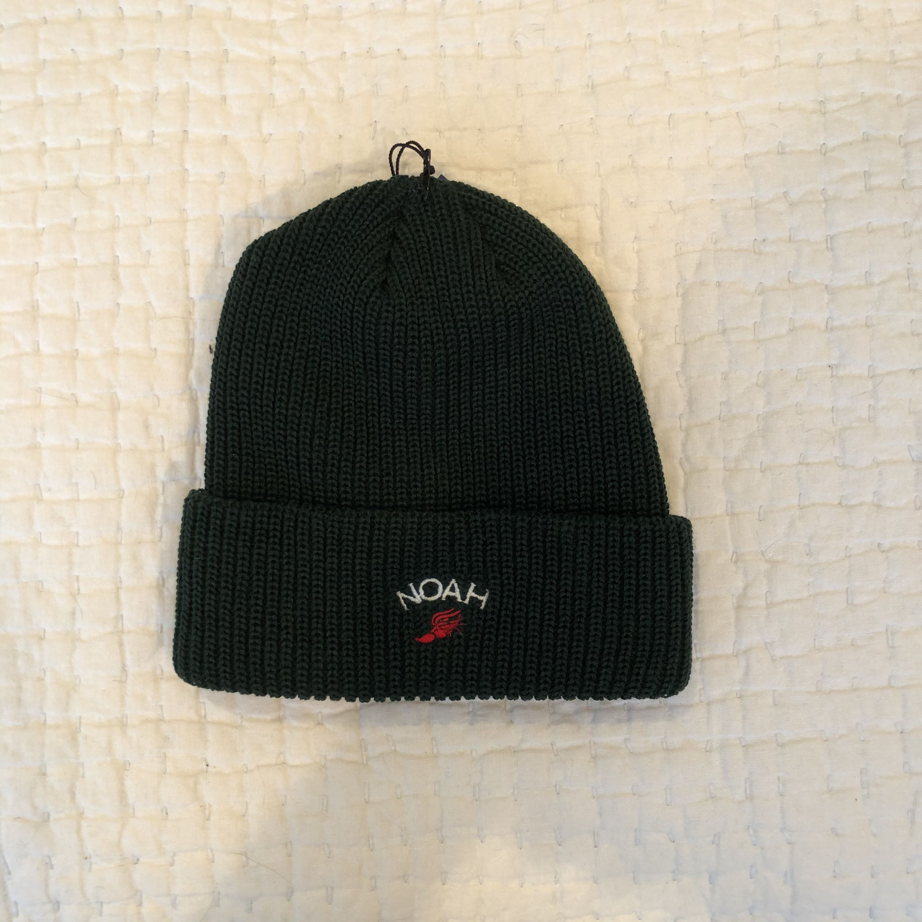 image of Noah Winged Foot Beanie in Green, Men's
