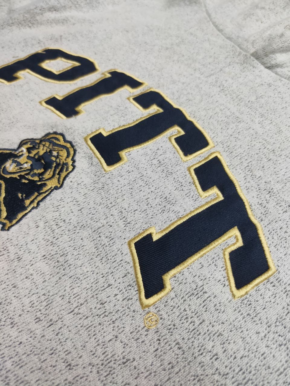 Vintage Vintage Pittsburgh Panther Embroidery Hoodie Size US S / EU 44-46 / 1 - 4 Thumbnail