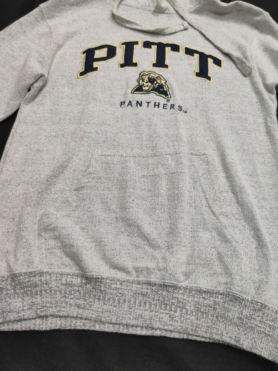 Vintage Vintage Pittsburgh Panther Embroidery Hoodie Size US S / EU 44-46 / 1 - 5 Thumbnail