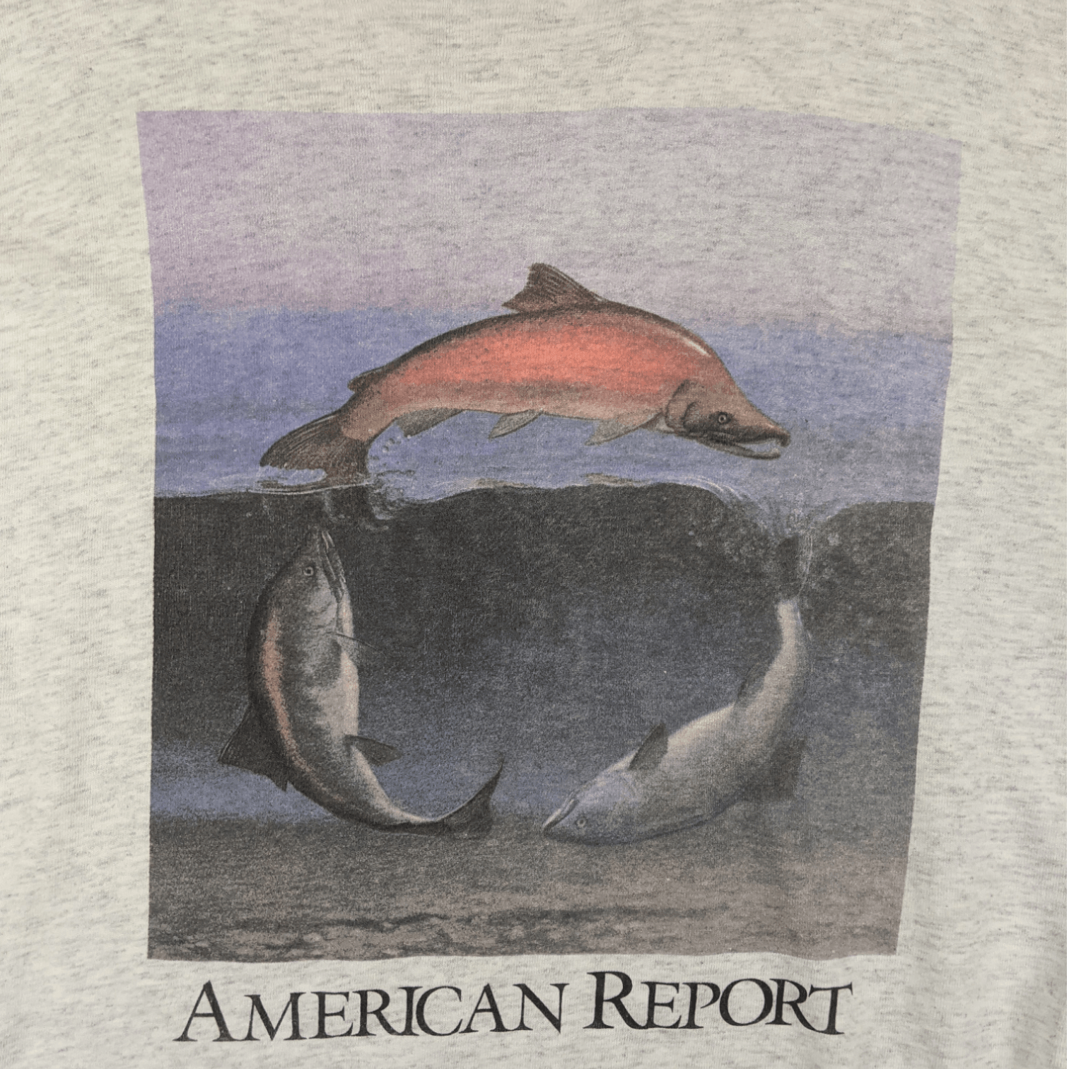 Vintage 90's AMERICAN REPORT Dolphin Animal Tee Single Stitches Size US XXL / EU 58 / 5 - 4 Thumbnail