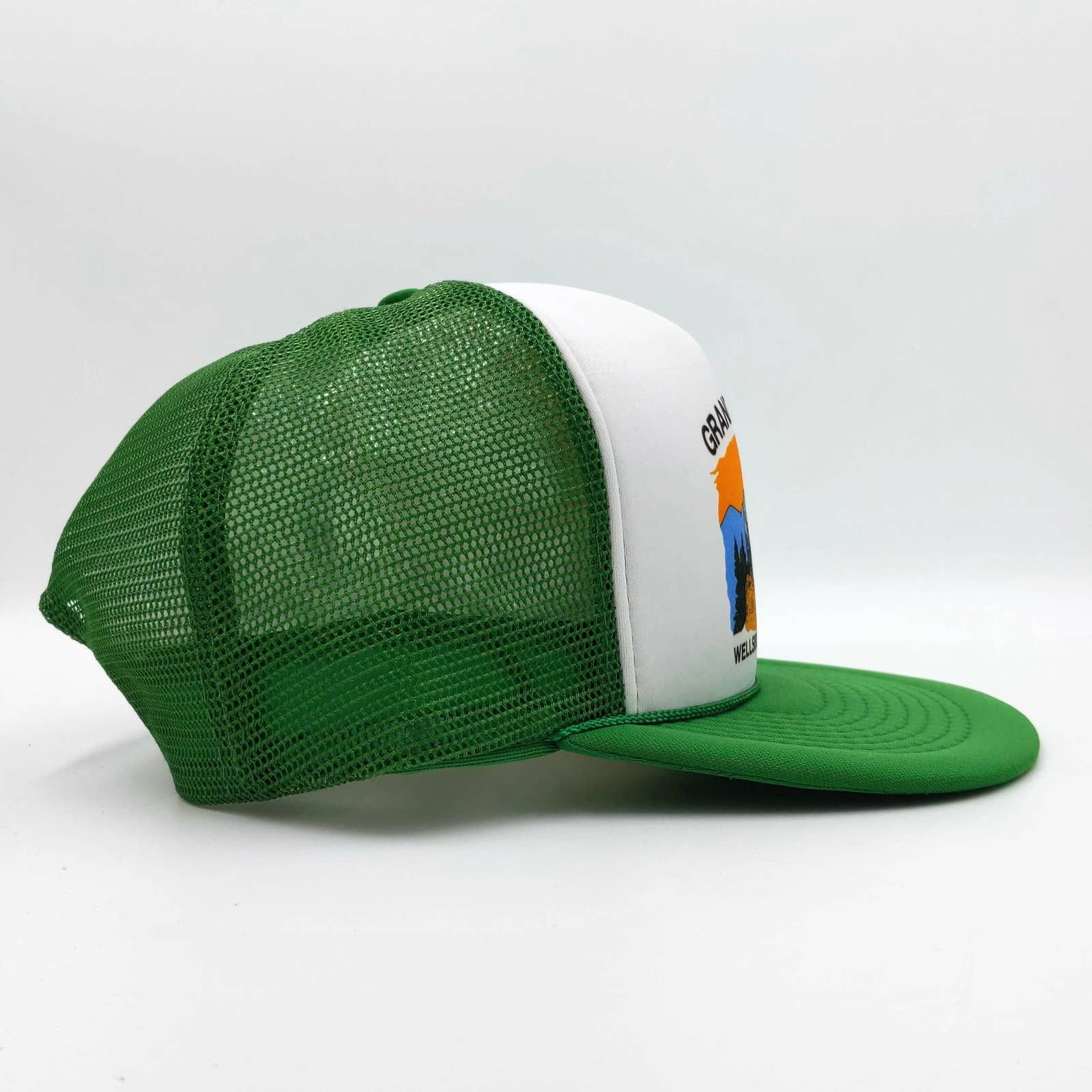 Vintage Vintage Grand Canyon Snapback Trucker Hat Pine Creek Gorge Size ONE SIZE - 6 Thumbnail