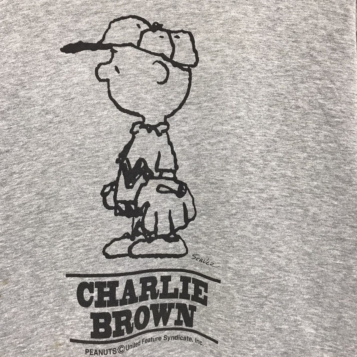 Cartoon Network × Champion × Peanuts Champion Peanuts Sweatshirt Biglogo Charlie Brown Champion Size US S / EU 44-46 / 1 - 2 Thumbnail
