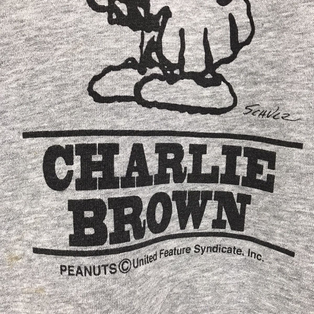 Cartoon Network × Champion × Peanuts Champion Peanuts Sweatshirt Biglogo Charlie Brown Champion Size US S / EU 44-46 / 1 - 3 Thumbnail