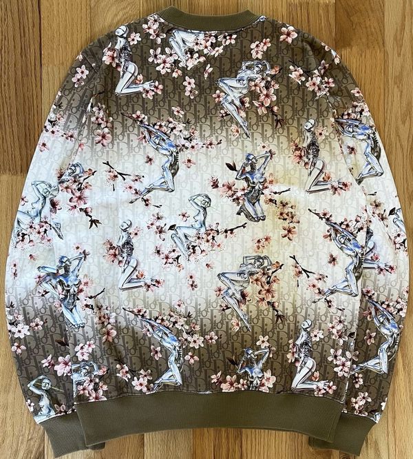 Dior sorayama hoodie online