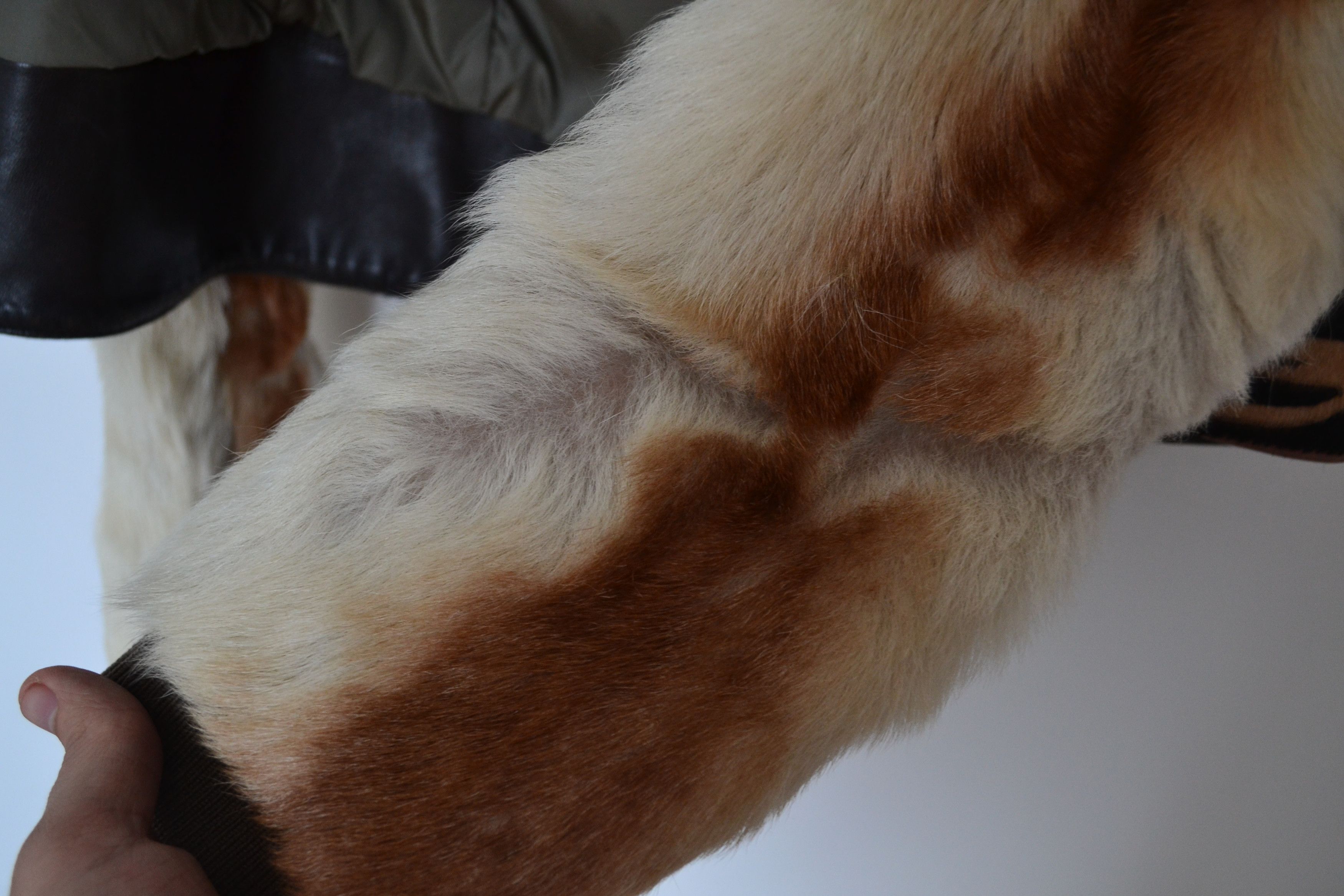 Prada PRADA Fur Jacket Hooded Calf Leather Wool Zip Bomber Size XS / US 0-2 / IT 36-38 - 10 Thumbnail