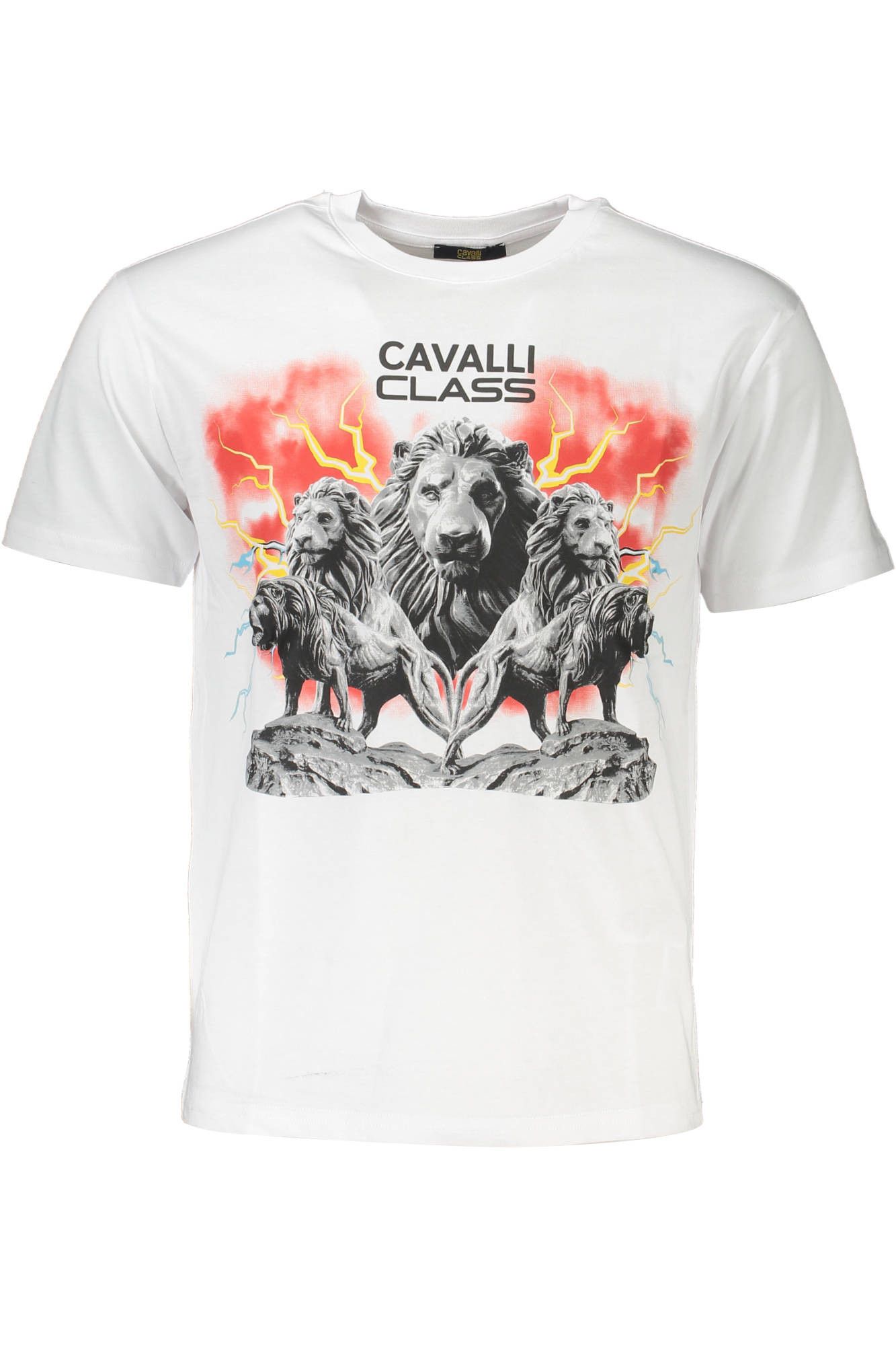 CAVALLI CLASS - Man - T-shirt main image 1