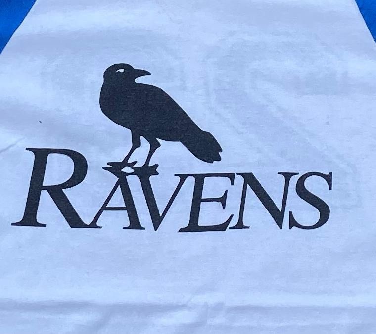 Anvil × Vintage vintage tee D - 18 Raven Size US M / EU 48-50 / 2 - 2 Thumbnail