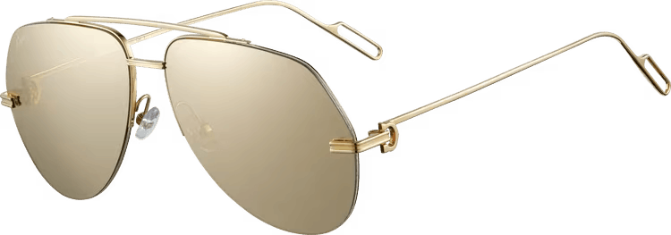 Cartier CARTIER SUNGLASSES BUFFS WOOD GOLD SILVER ESP00015  display picture 3