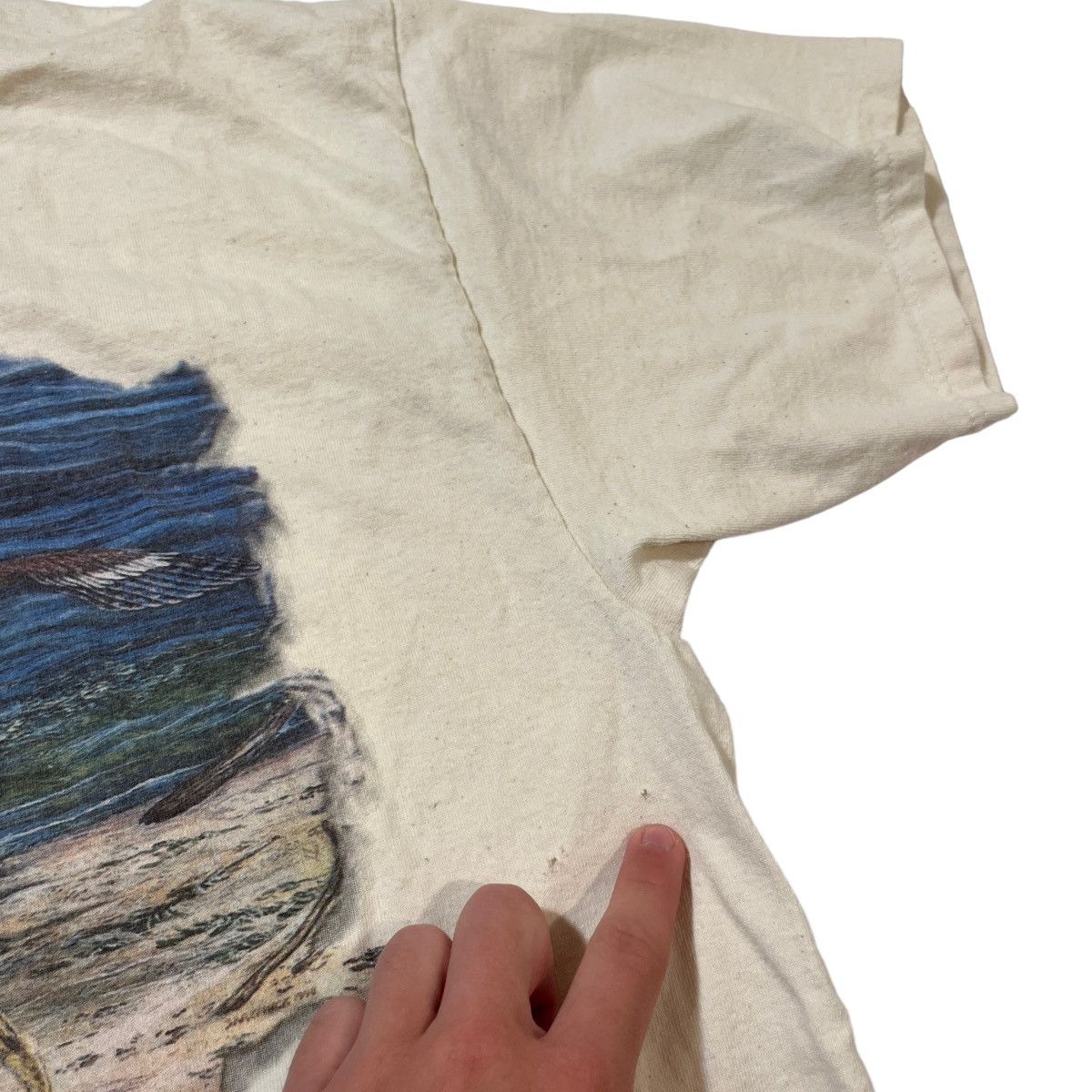 Vintage Y2K Dinosaur Caudipteryx Museum Tee Size US L / EU 52-54 / 3 - 3 Thumbnail
