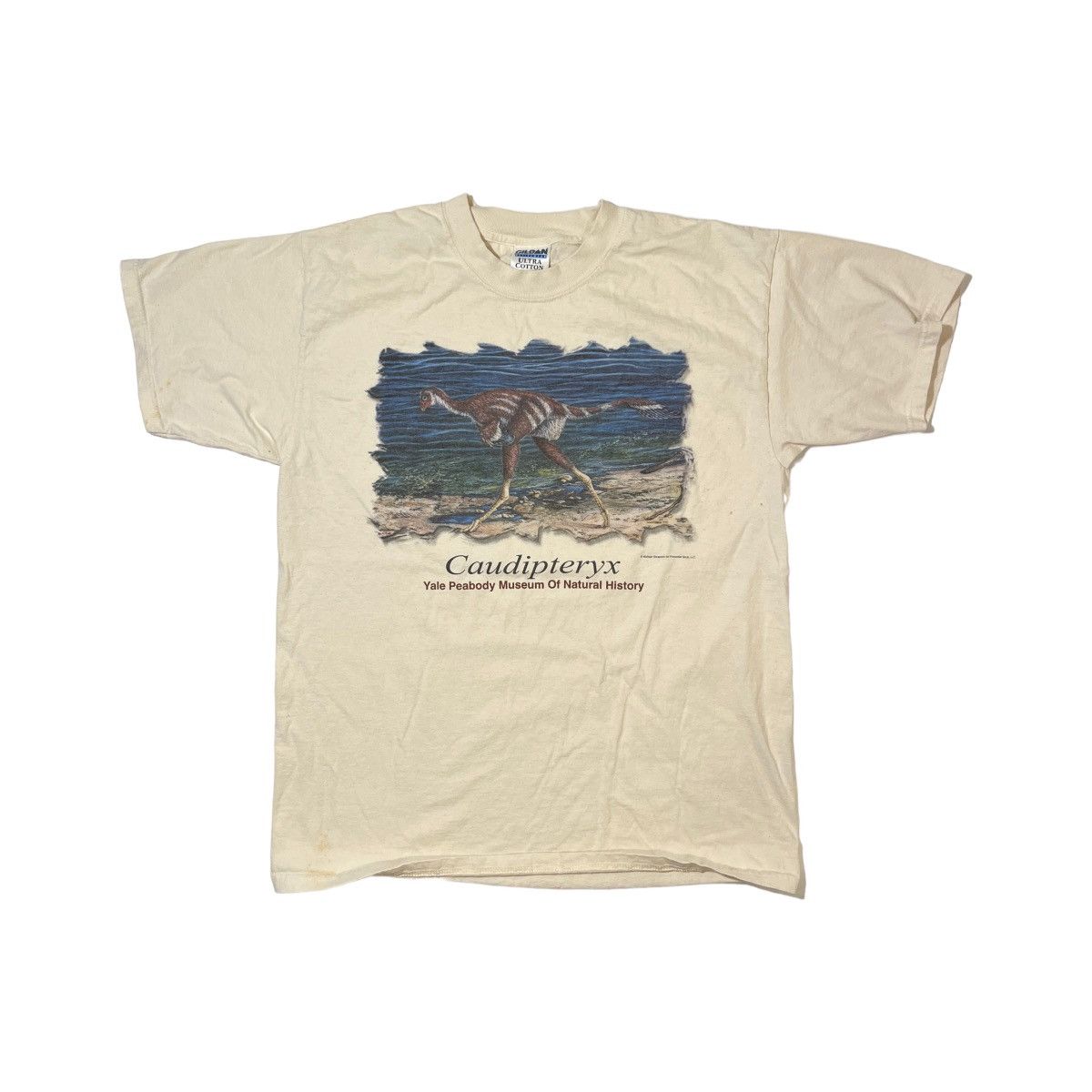 Vintage Y2K Dinosaur Caudipteryx Museum Tee Size US L / EU 52-54 / 3 - 2 Thumbnail