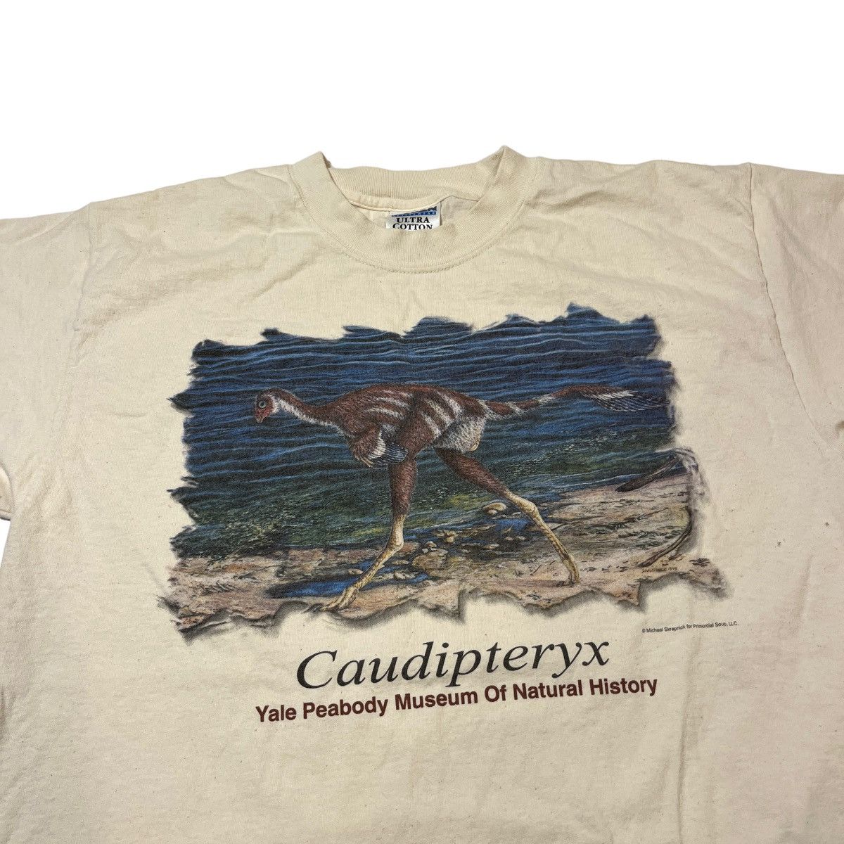 Vintage Y2K Dinosaur Caudipteryx Museum Tee Size US L / EU 52-54 / 3 - 1 Thumbnail