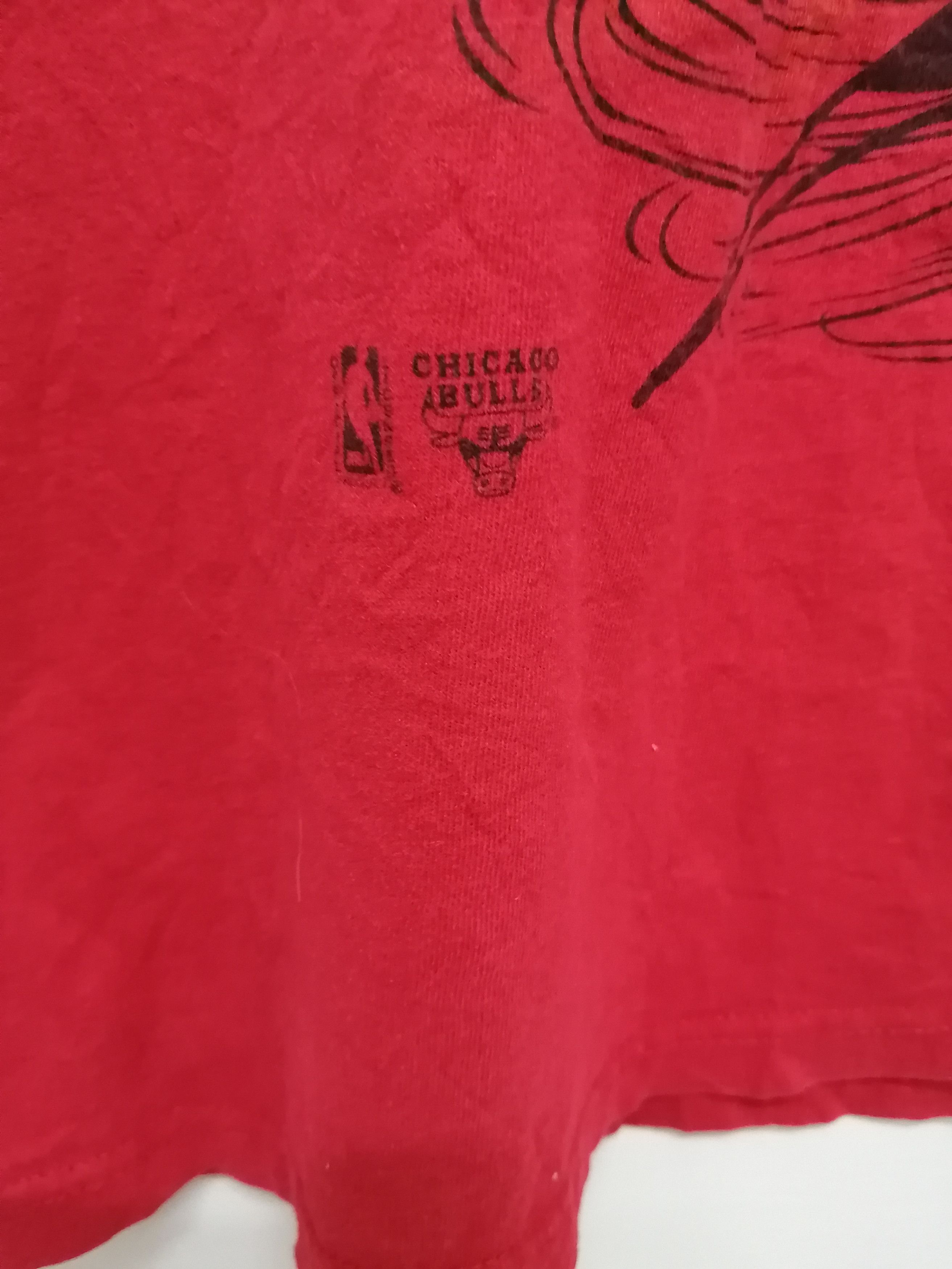 Vintage Vintage 90s Chicago Bulls X Warner Bros X Tazmania Tee Size US L / EU 52-54 / 3 - 7 Thumbnail
