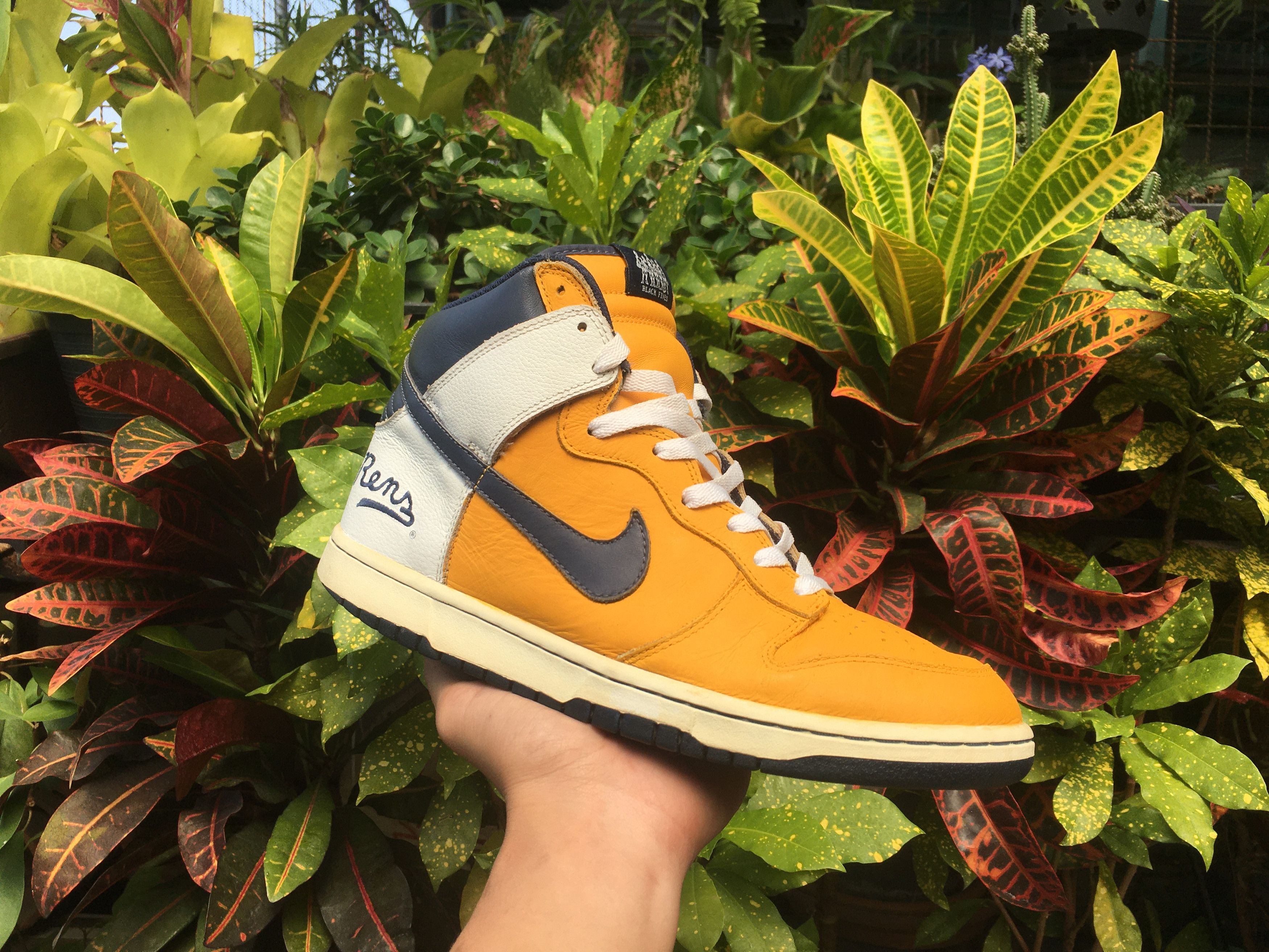 Nike Dunk High Black Fives Harlem Rens