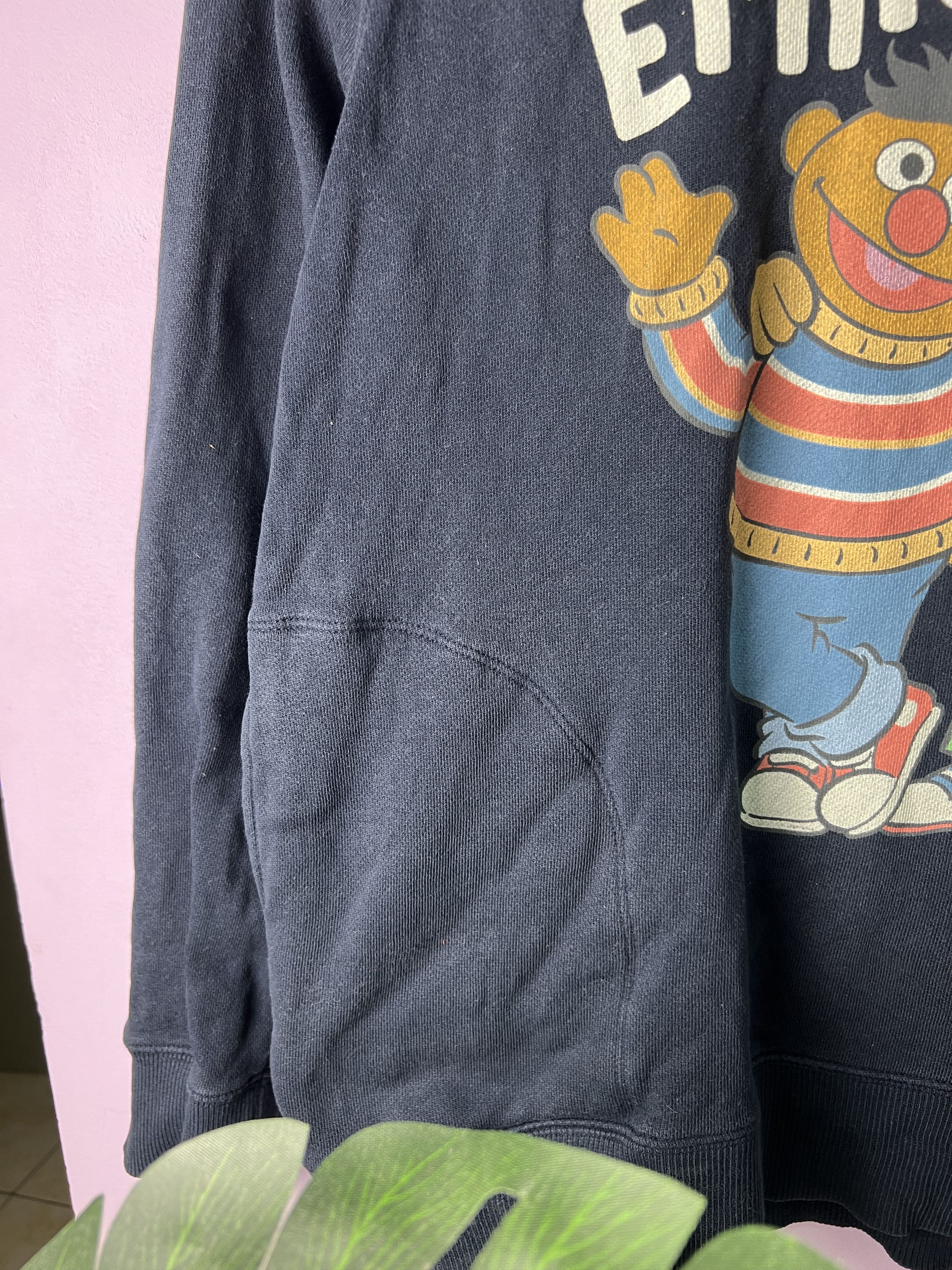 Cartoon Network × Uniqlo 🔥Distressed Ernie & Bert Hoodies Size US M / EU 48-50 / 2 - 10 Thumbnail