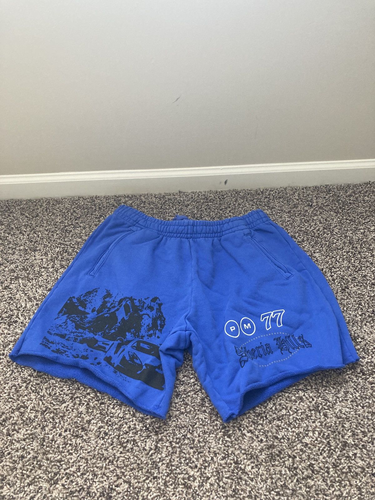 image of Post Malone Tour Tee x Siberia Hills Post Malone Himalayas Racing Blue Shorts, Men's (Size 30)