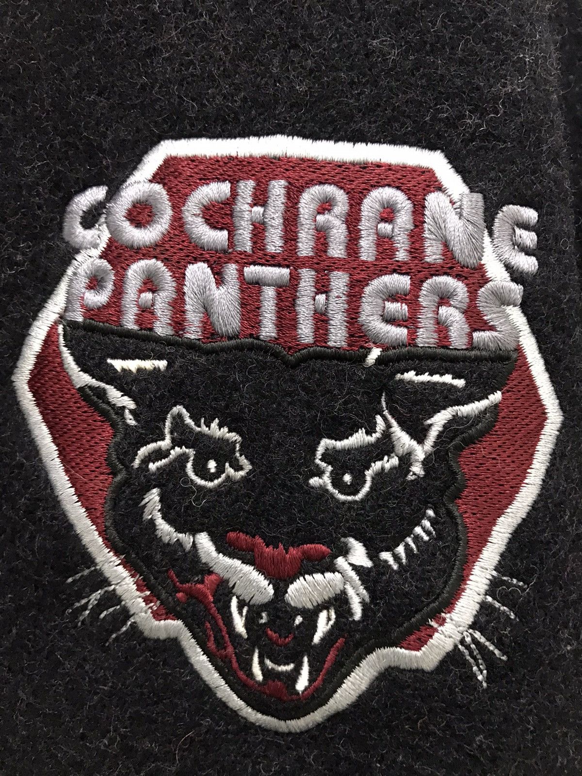 Vintage Vtg Florida PANTHERS Ice Hockey Team Leather Varsity Jacket Size US M / EU 48-50 / 2 - 2 Thumbnail