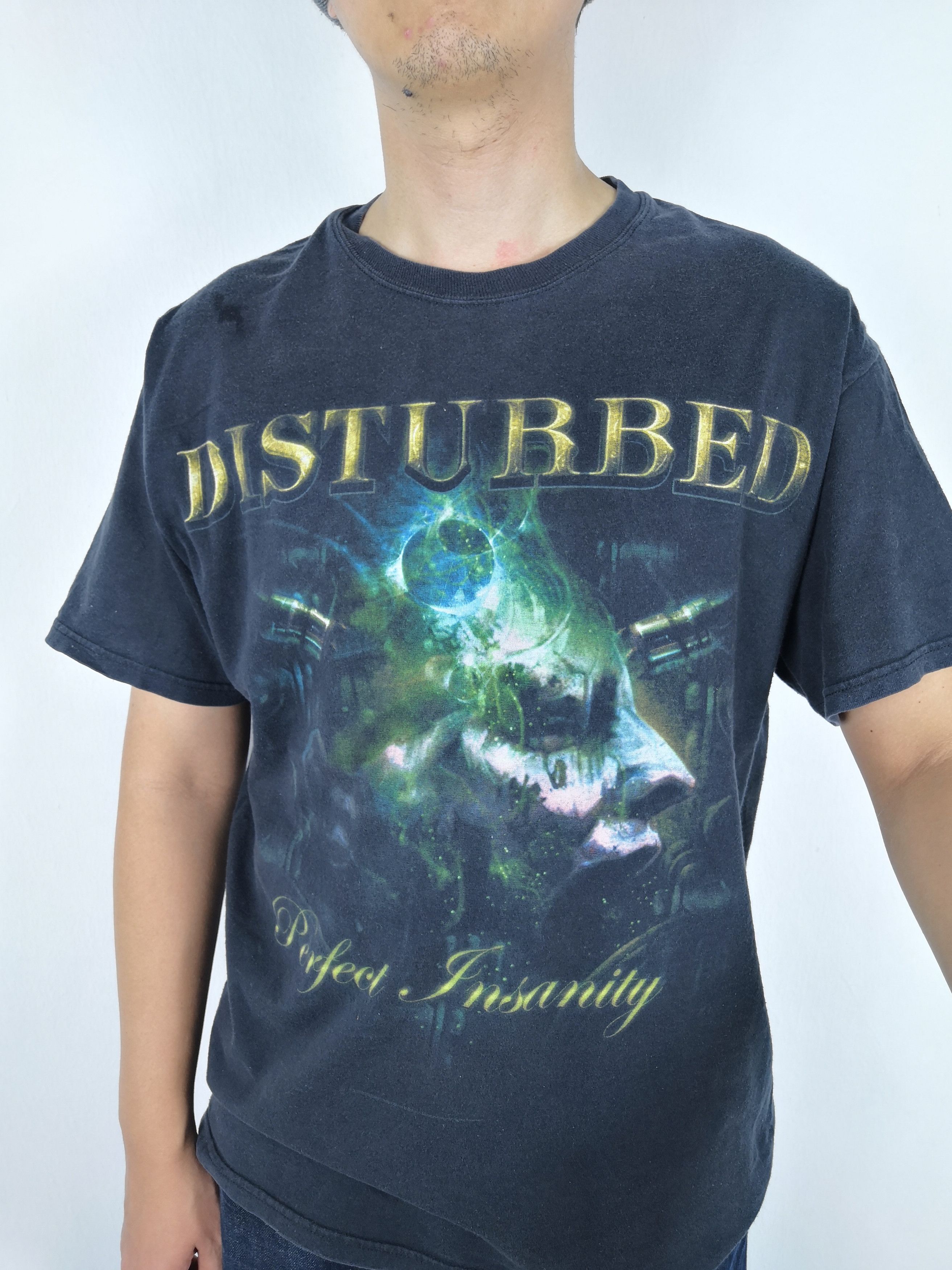 Band Tees Vintage Disturbed T-Shirt Band Tees Rock Perfect Insanity Size US L / EU 52-54 / 3 - 2 Thumbnail