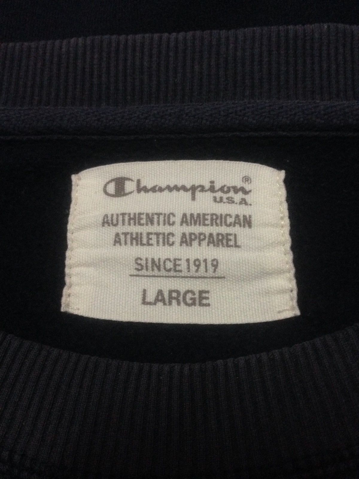 Champion Vintage 90's Champion Usa Sweatshirts Size Large Size US L / EU 52-54 / 3 - 3 Thumbnail