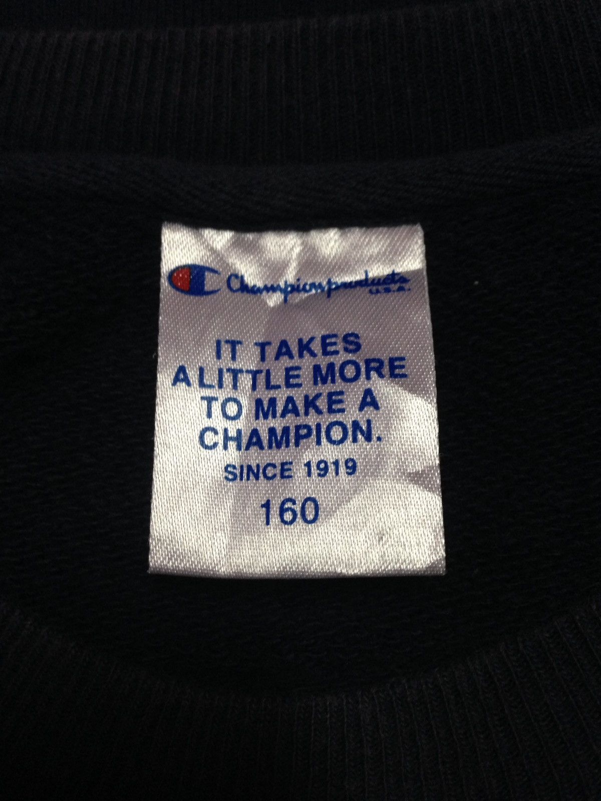 Champion Vintage 90's Champion Usa Sweatshirts Size US M / EU 48-50 / 2 - 3 Thumbnail