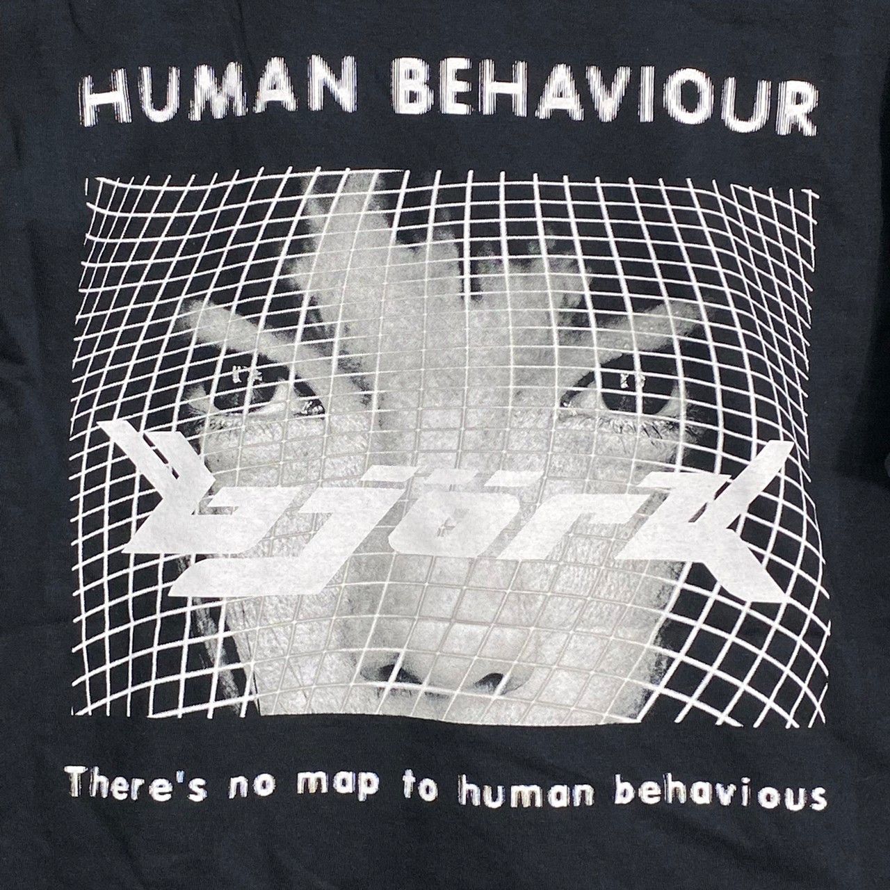 Band Tees × Custom × Vintage BJORK 