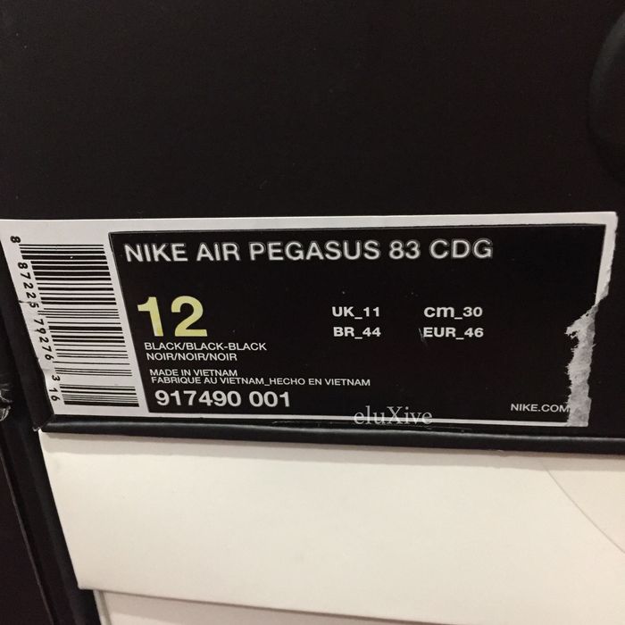 cdg nike pegasus