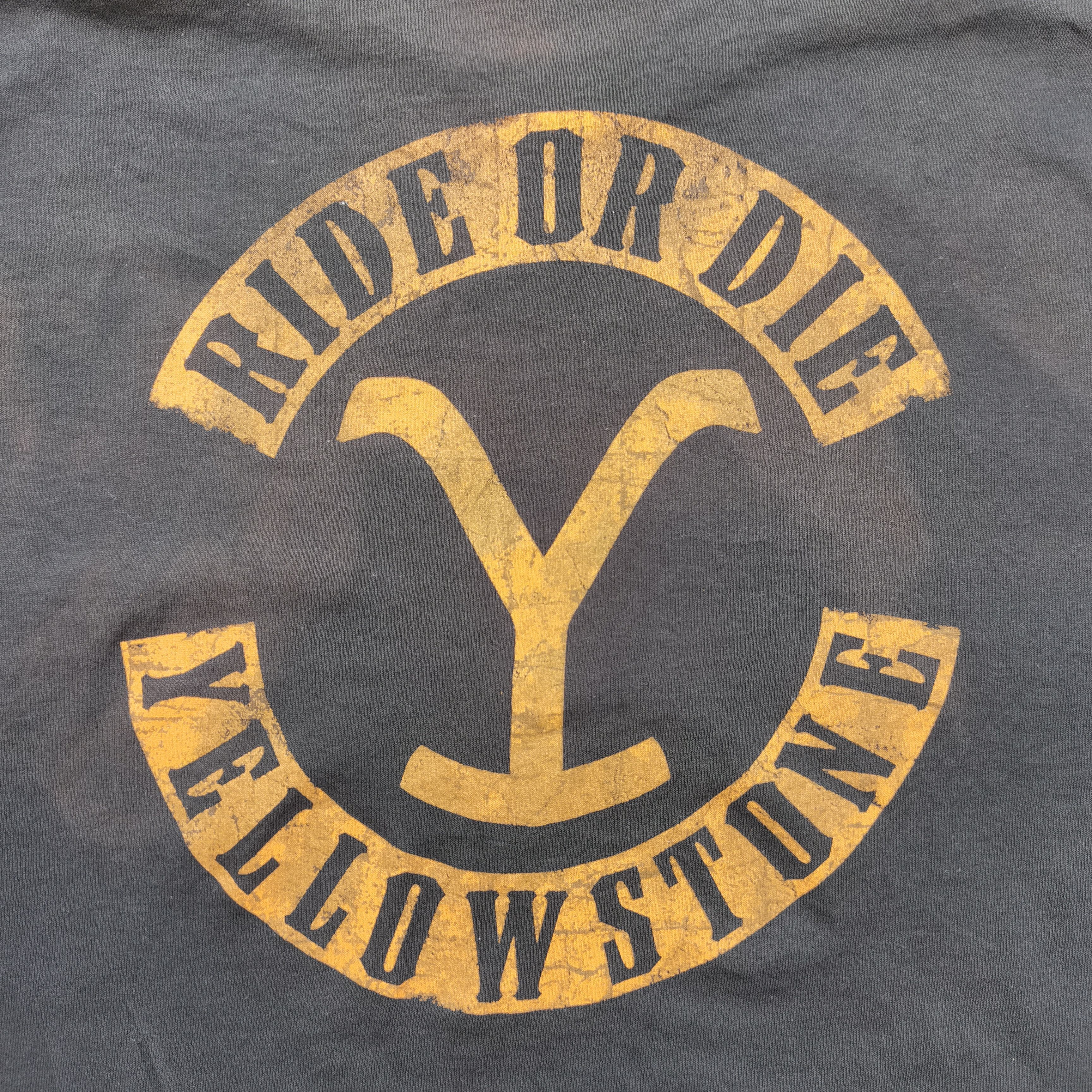 Vintage Steals🔥 YELLOWSTONE Sun Faded Tshirt Size US XL / EU 56 / 4 - 4 Thumbnail