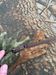 Yeezy Season Leaf Camo Back Zipper Pouch LS Tee Size US S / EU 44-46 / 1 - 12 Thumbnail
