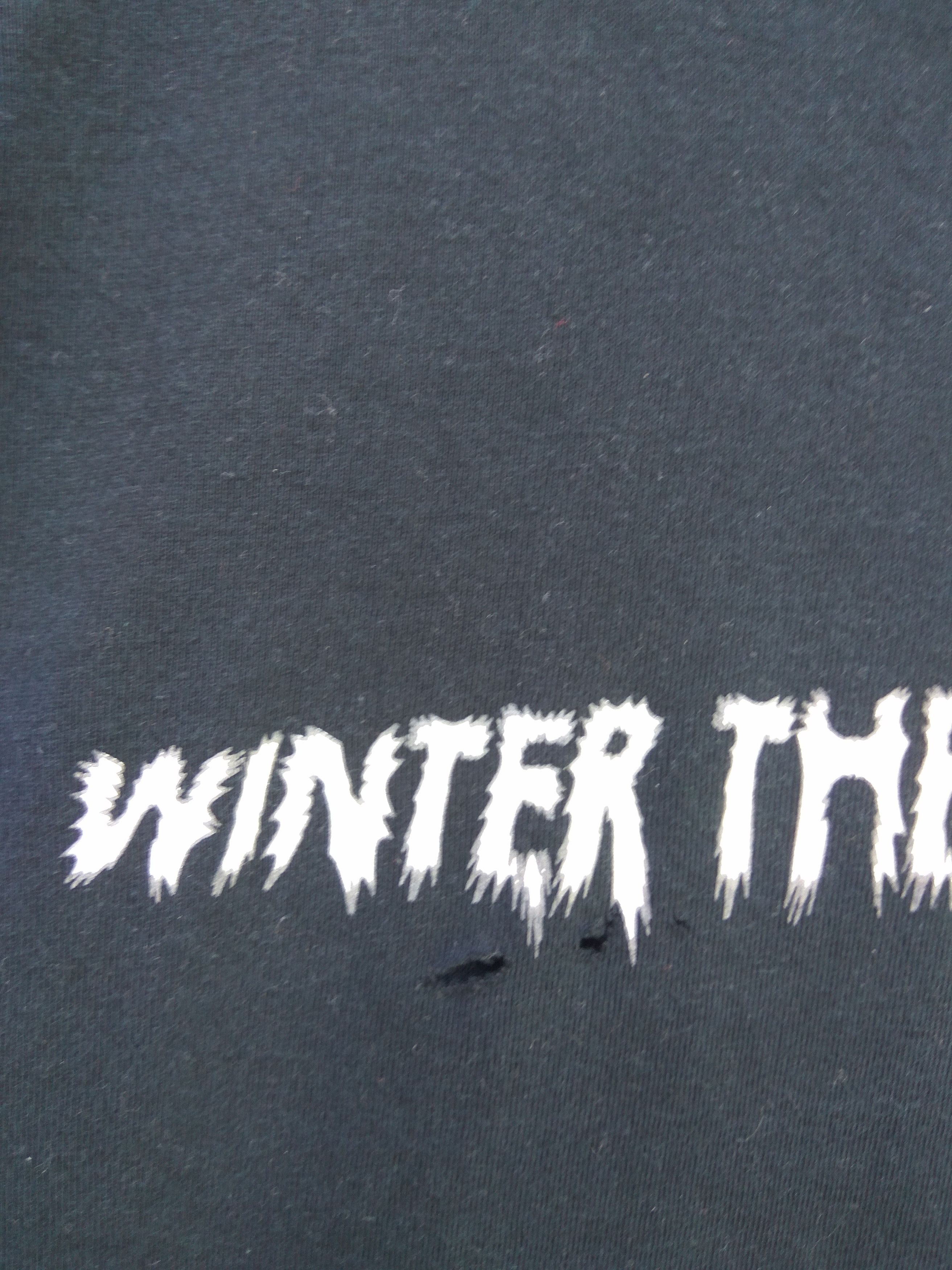 Band Tees Asian kungfu generation t shirt Winter the Dragon Size US M / EU 48-50 / 2 - 6 Thumbnail