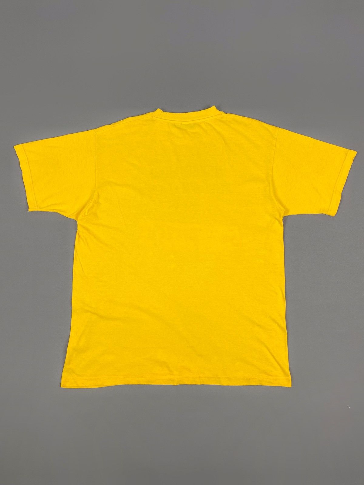Band Tees 1990’s Vintage Sex Pistols “Never Mind The Bollocks“ T-Shirt Size US L / EU 52-54 / 3 - 8 Thumbnail