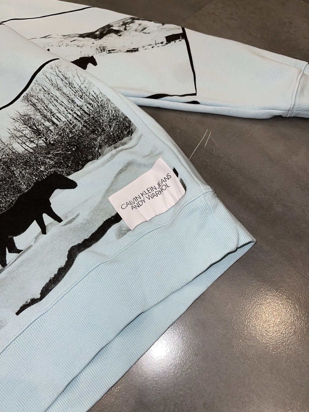 Calvin Klein 205W39NYC Calvin Klein X Andy Warhol Horse Print Baby Blue Hoodie Size US L / EU 52-54 / 3 - 3 Thumbnail