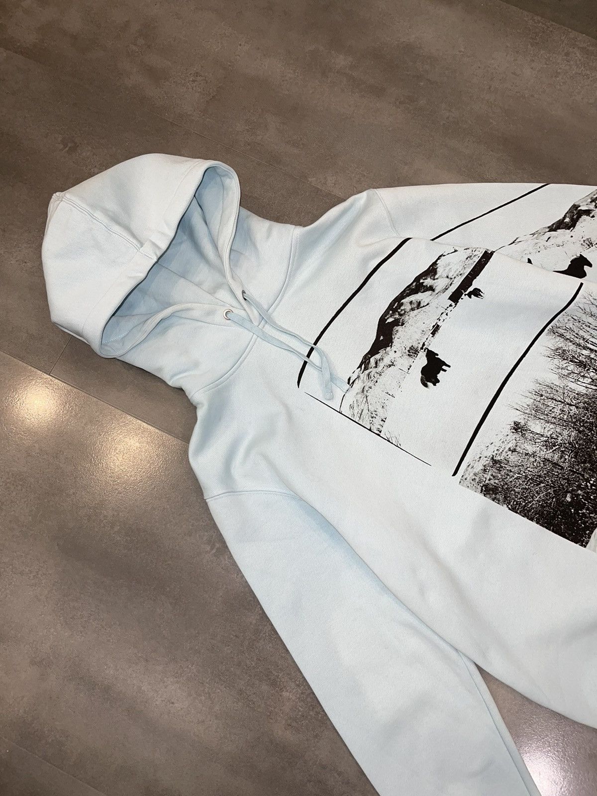 Calvin Klein 205W39NYC Calvin Klein X Andy Warhol Horse Print Baby Blue Hoodie Size US L / EU 52-54 / 3 - 6 Thumbnail