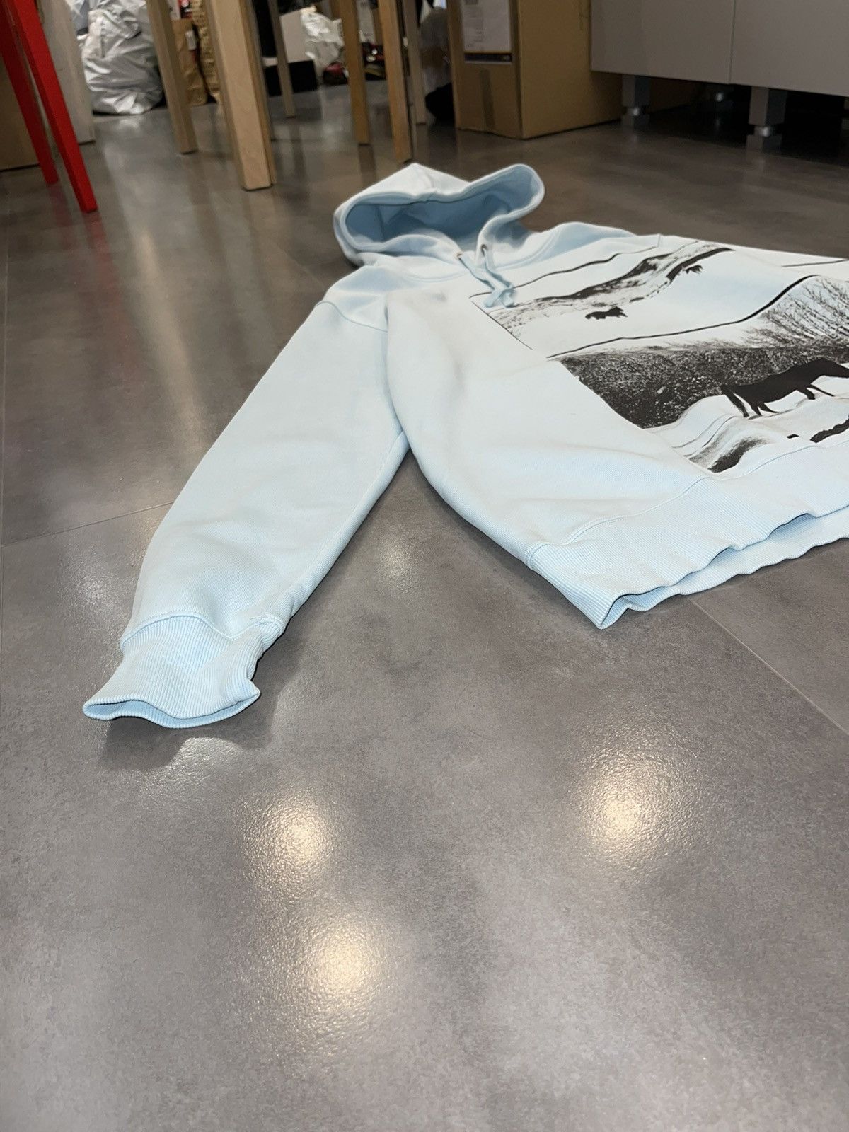 Calvin Klein 205W39NYC Calvin Klein X Andy Warhol Horse Print Baby Blue Hoodie Size US L / EU 52-54 / 3 - 4 Thumbnail